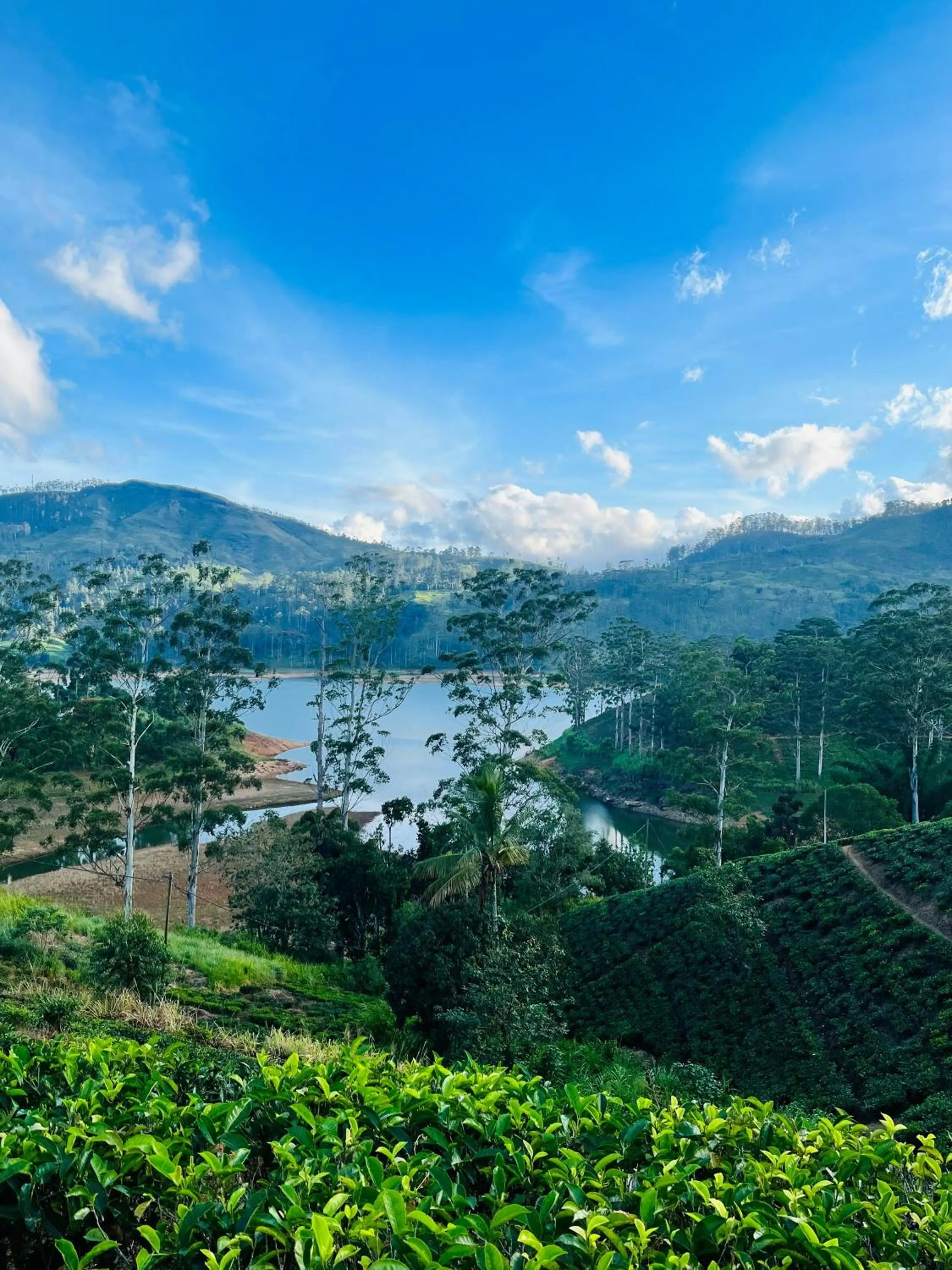 Nearby landmark in Uga Halloowella - Hatton - All Inclusive