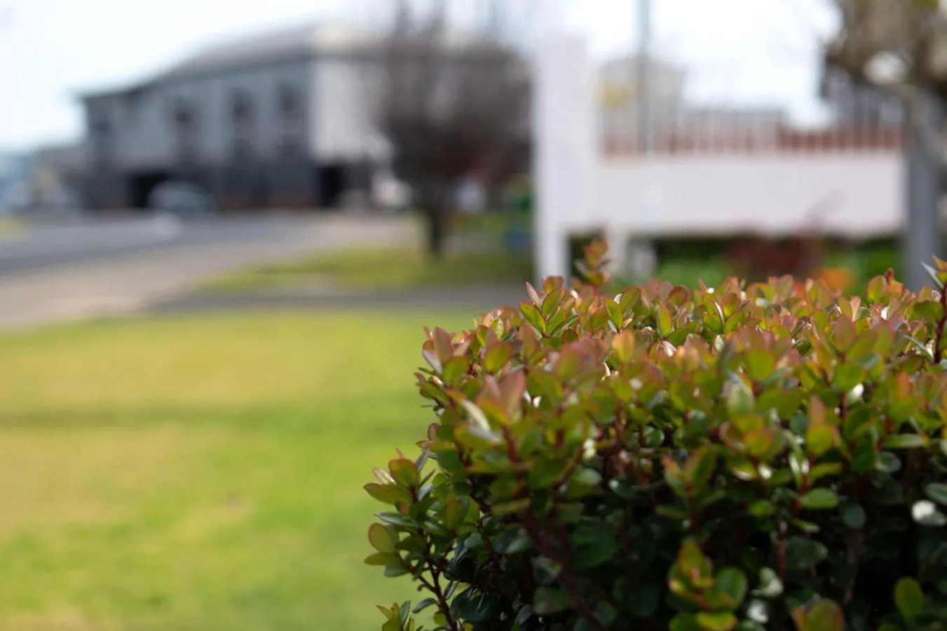 Garden, Property Building in Boathouse Bunbury Bed & Breakfast