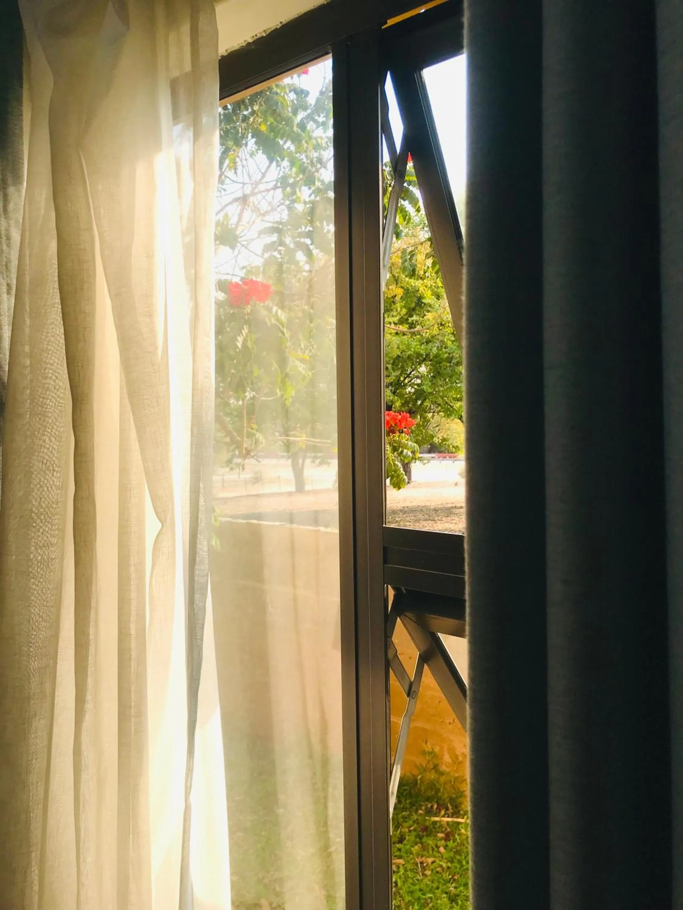 View (from property/room) in Maun Executive Inn