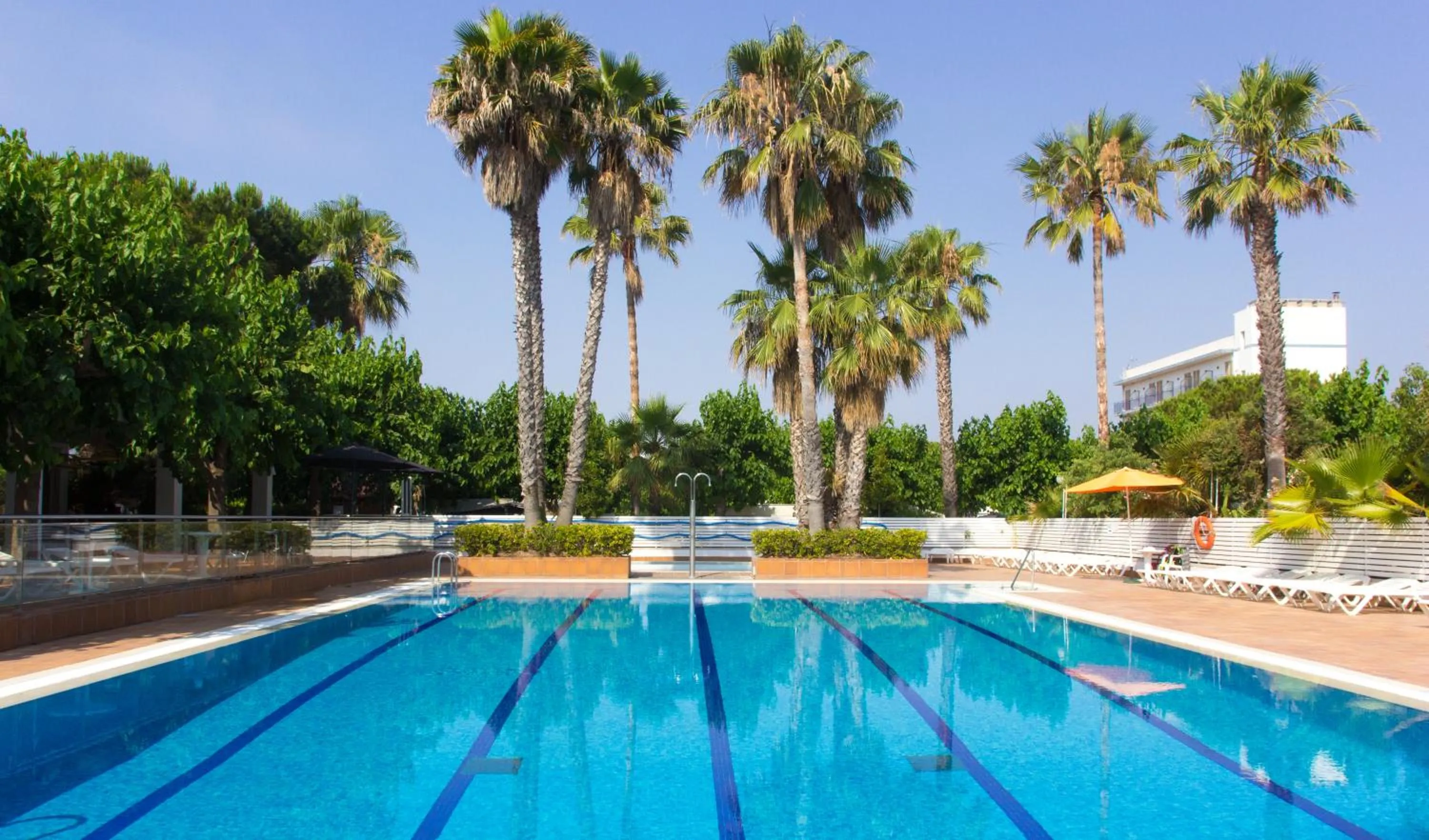 Swimming pool in Càmping Bellsol