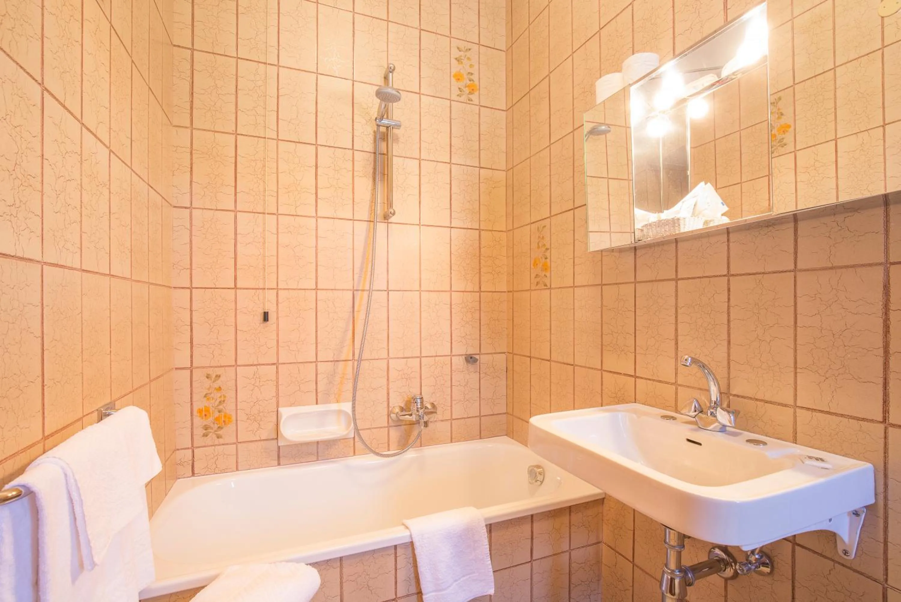 Bathroom in Hotel Villa Trieste