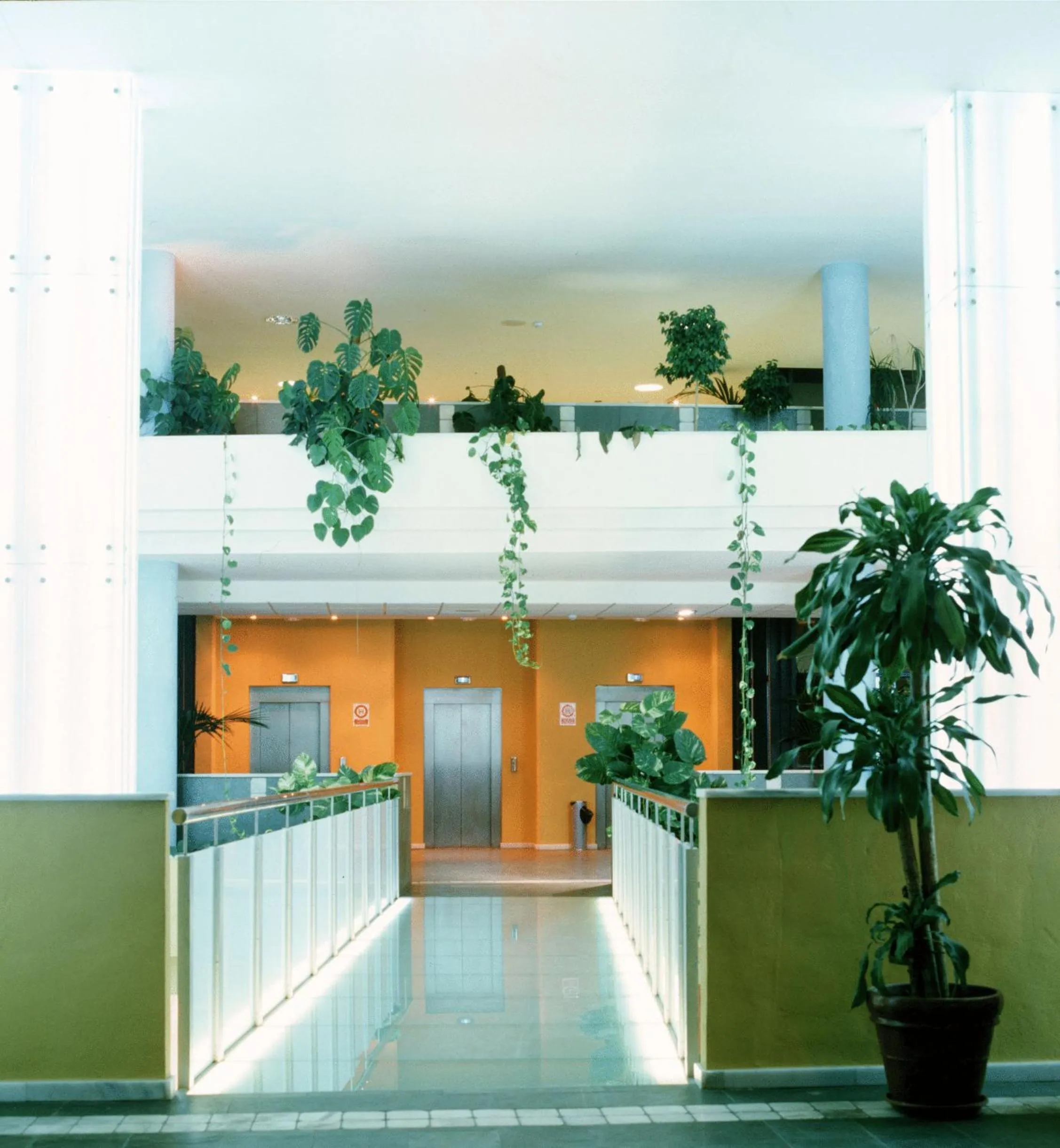 Lobby or reception in Advise Hotels Reina
