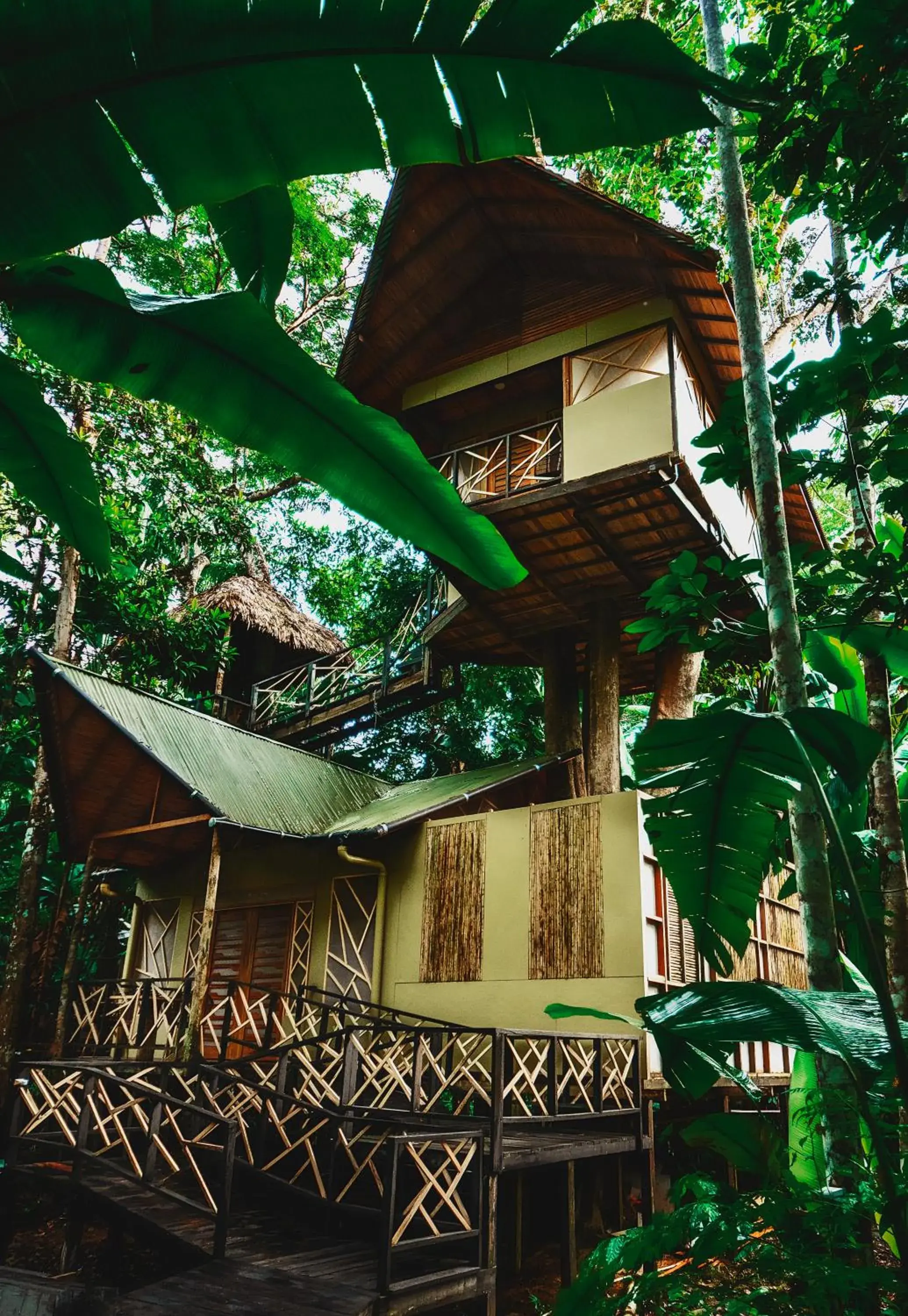 Triple Room - single occupancy - Disability Access in Burú Nature Hotel Triple Room - single occupancy - Disability Access in Burú Nature Hotel