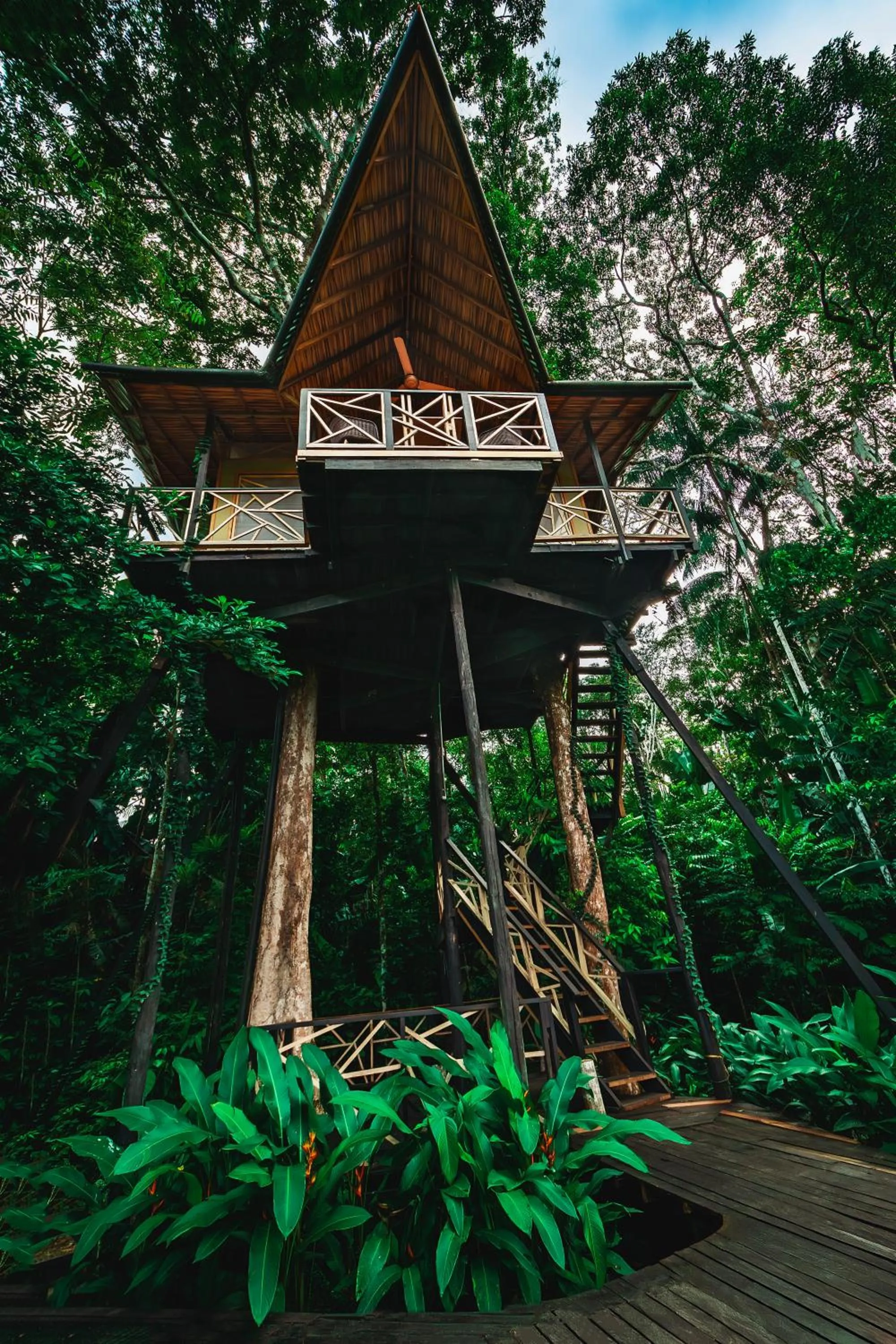 Natural landscape in Burú Nature Hotel