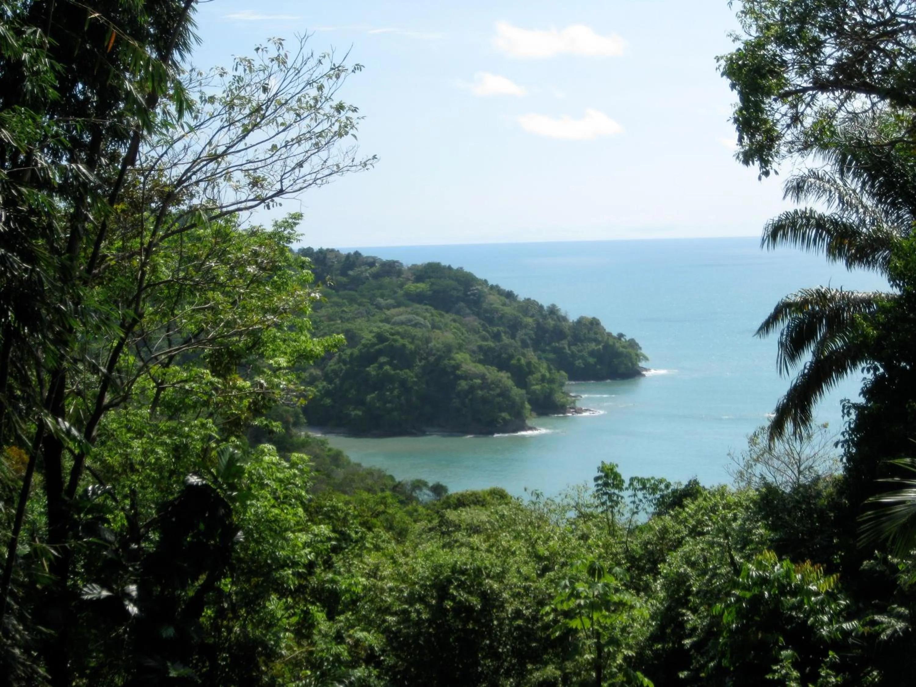 Property building in Mango Moon Villa