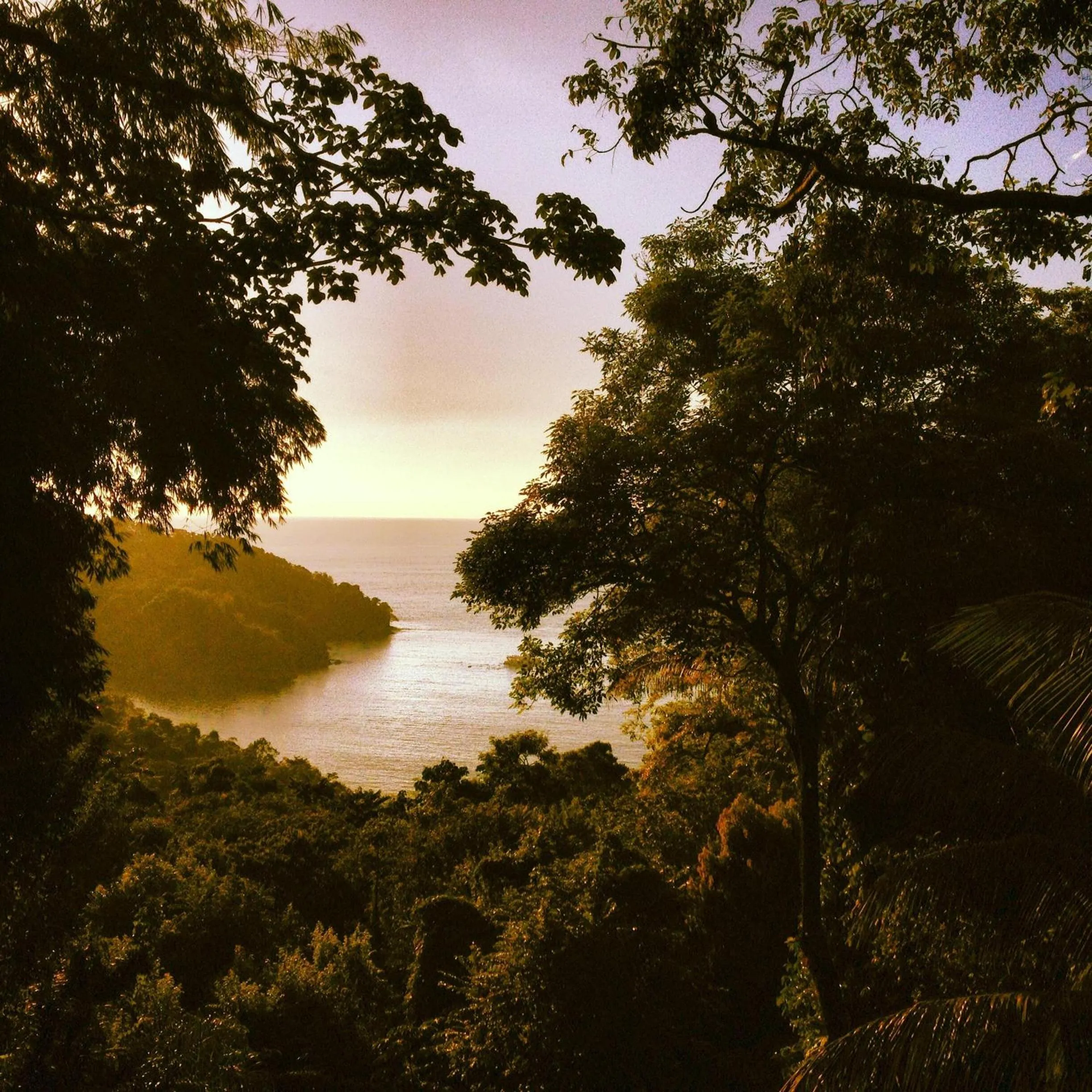 Property building in Mango Moon Villa