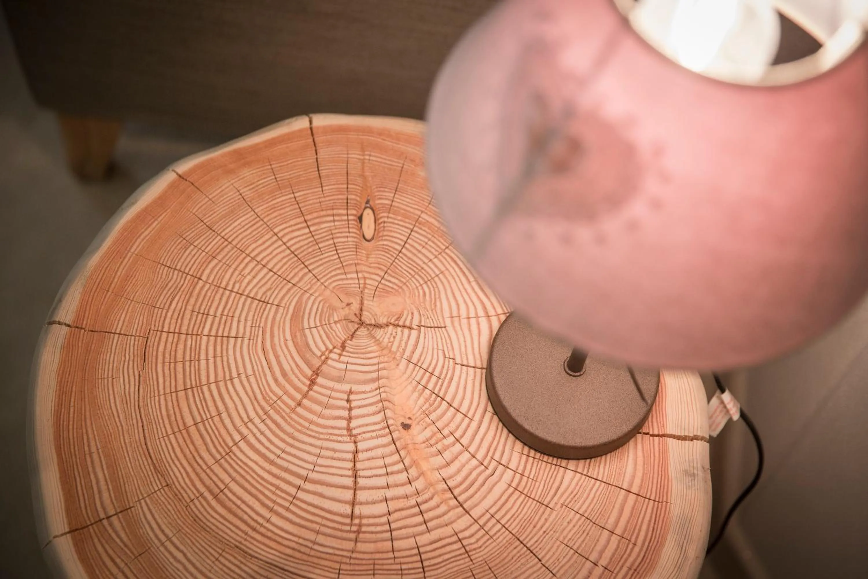 Decorative detail in Aparthotel Dolomites Living&Relax