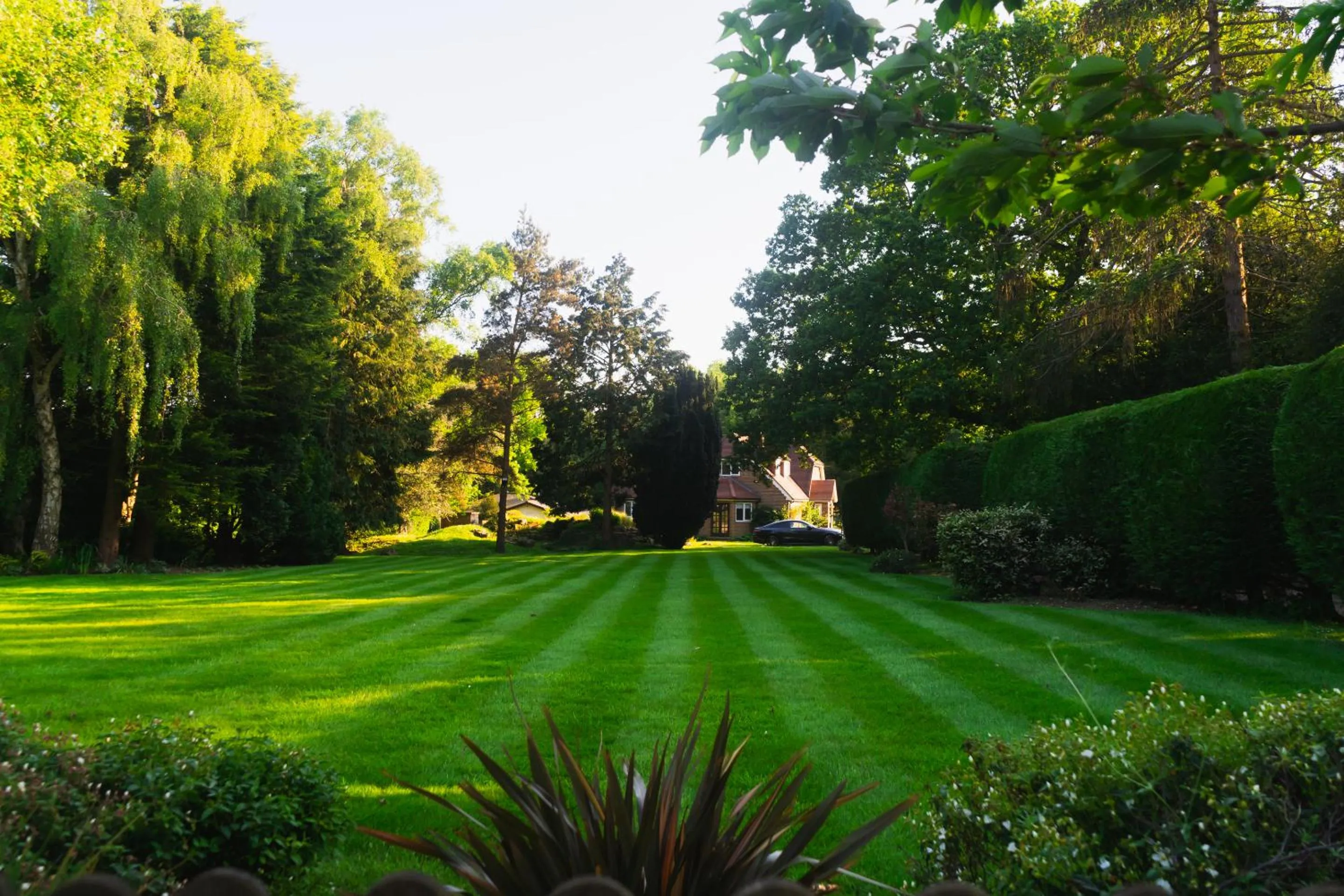 Garden in The Bungalow by TAS