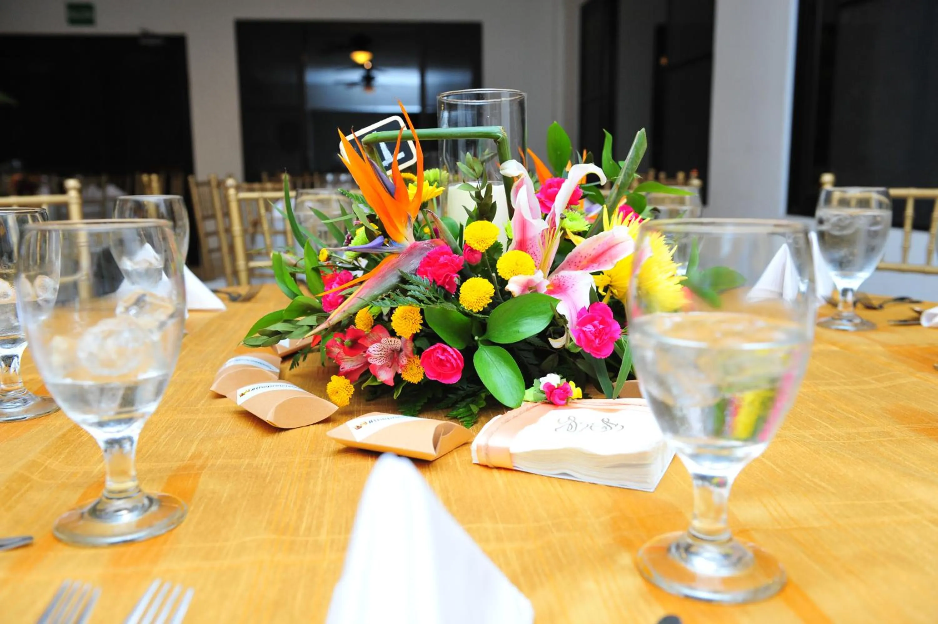 Entertainment in Hotel Campestre