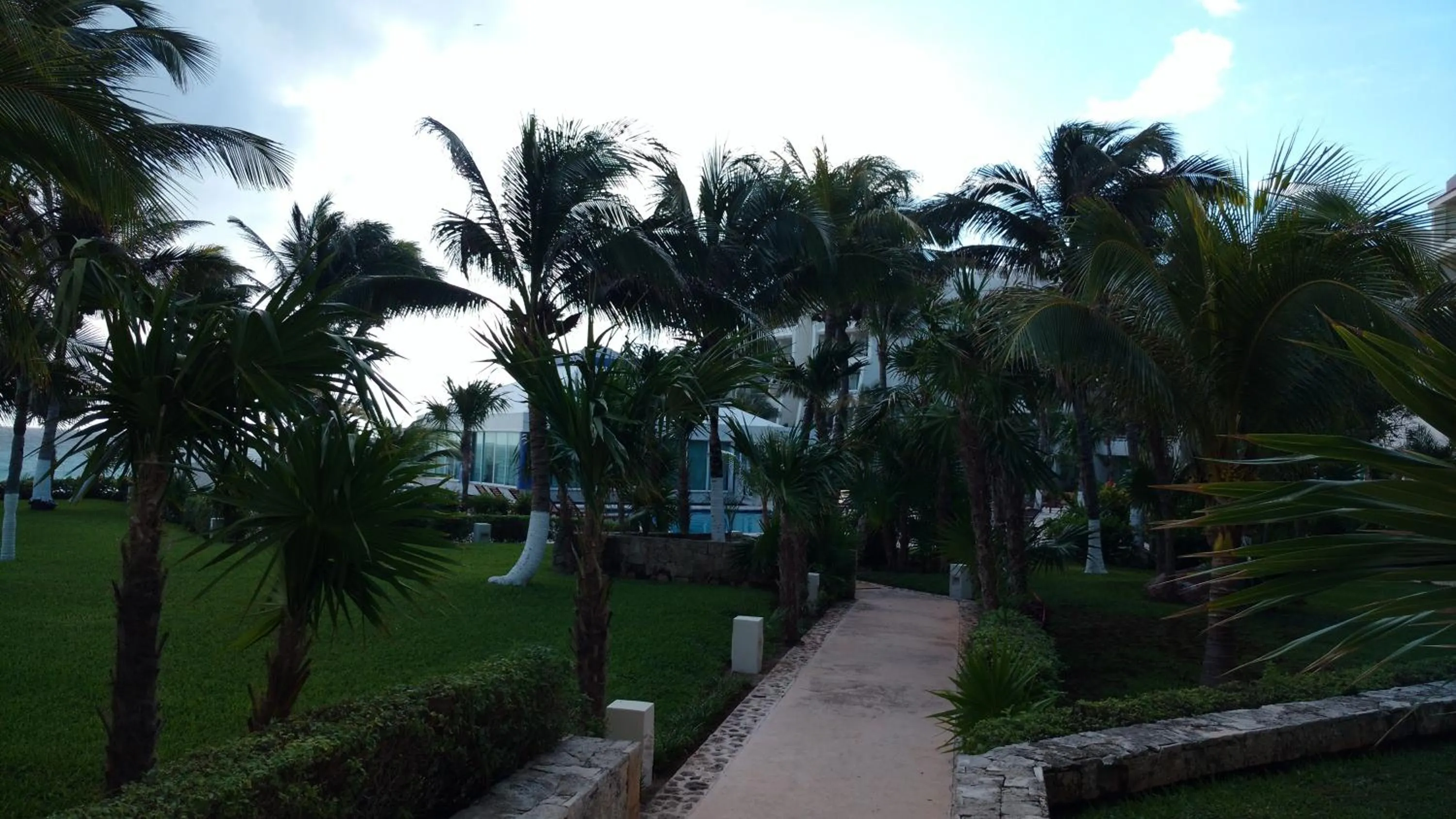 Garden in Apartment Ocean Front Cancun