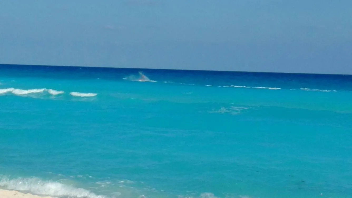 Day in Apartment Ocean Front Cancun