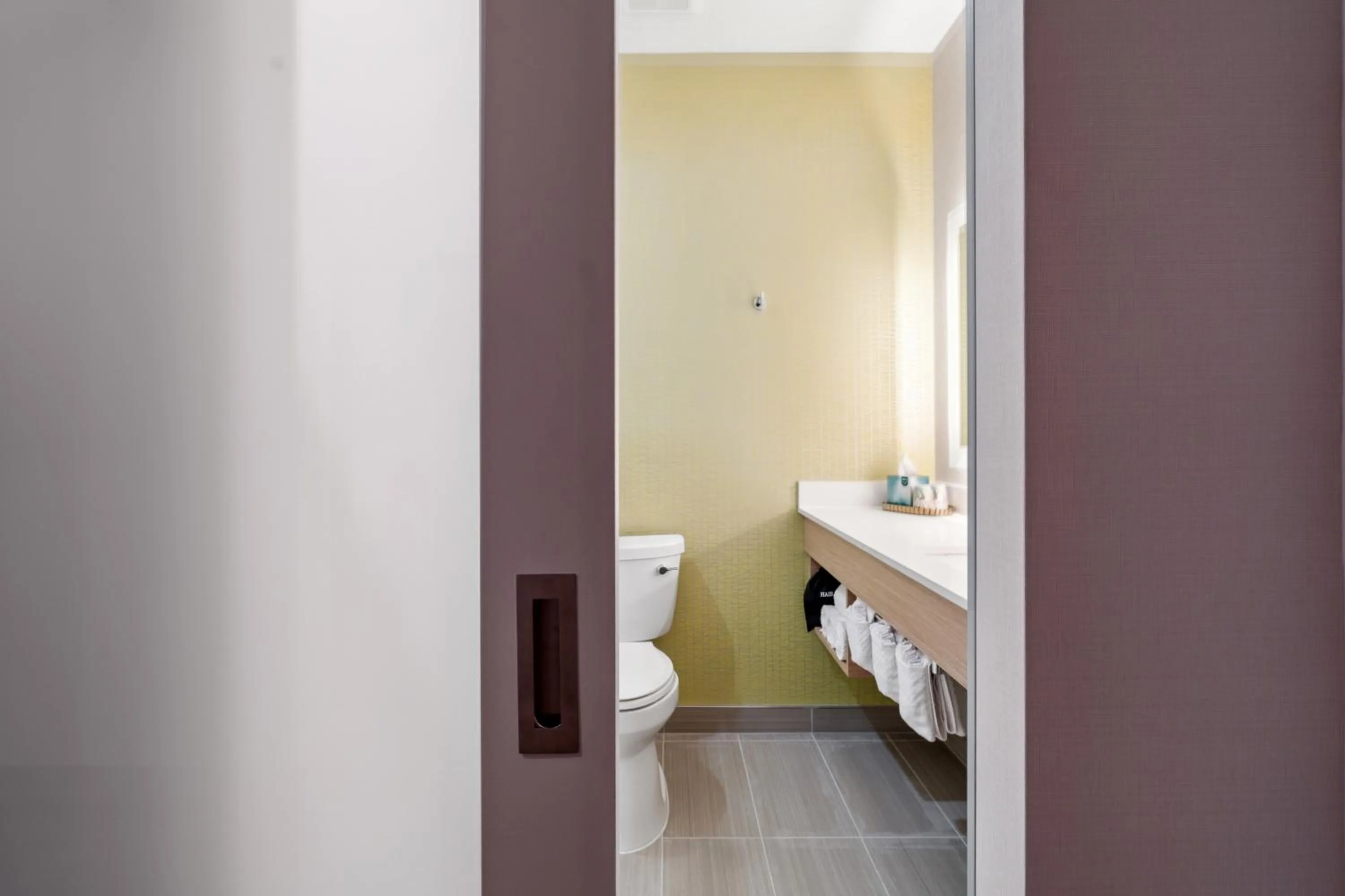 Toilet in The Evergreen