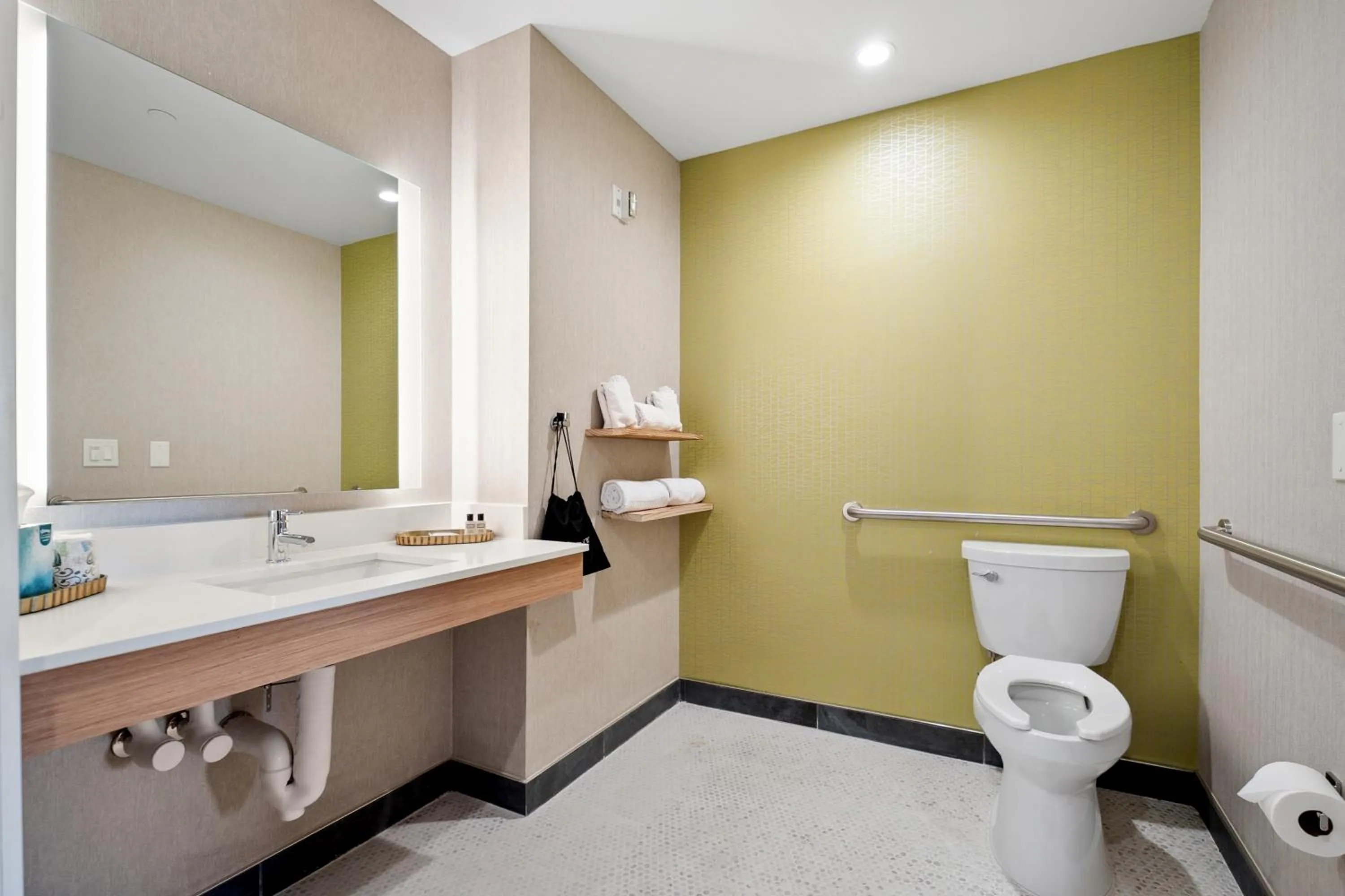 Toilet in The Evergreen