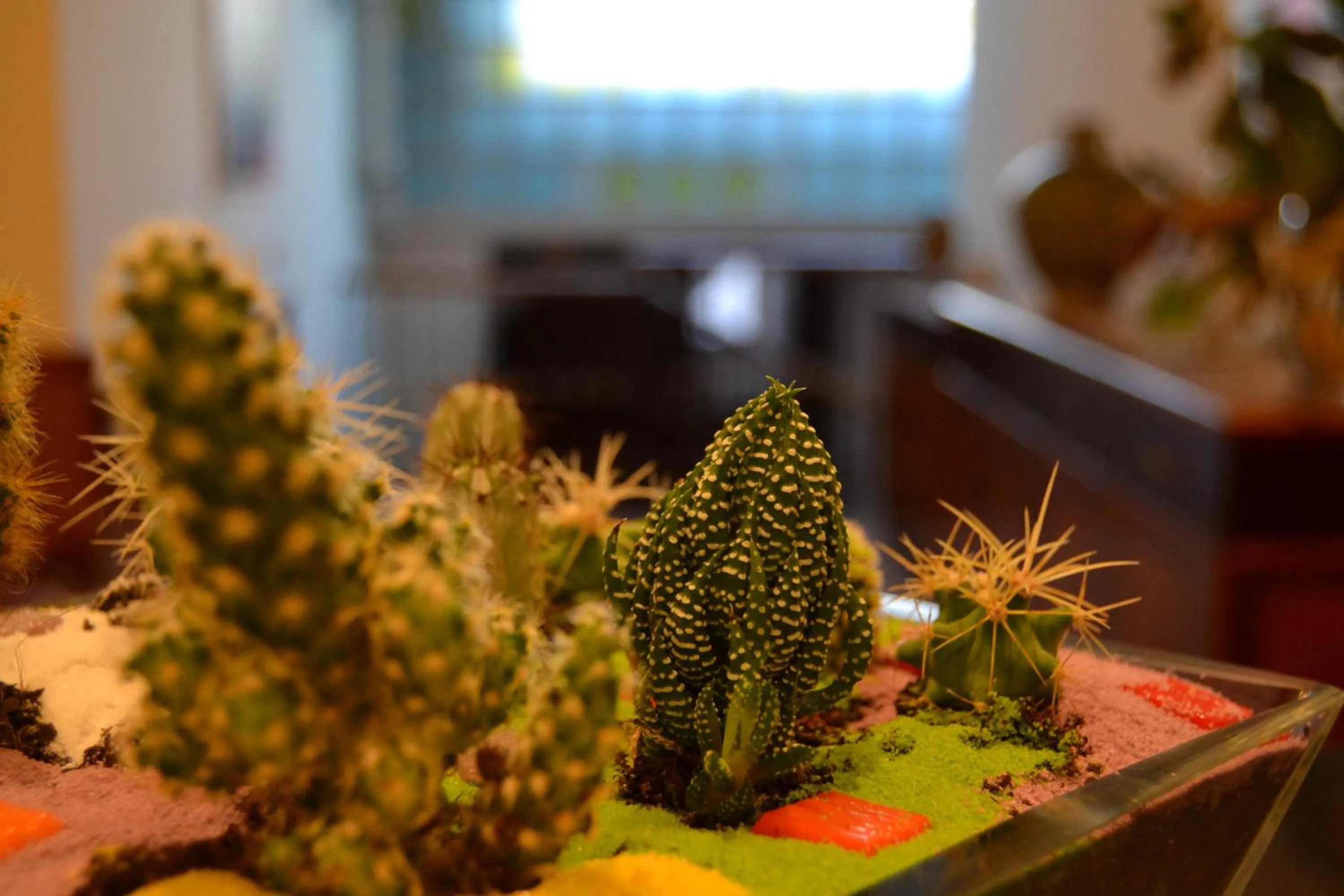 Lobby or reception in Hotel Cima