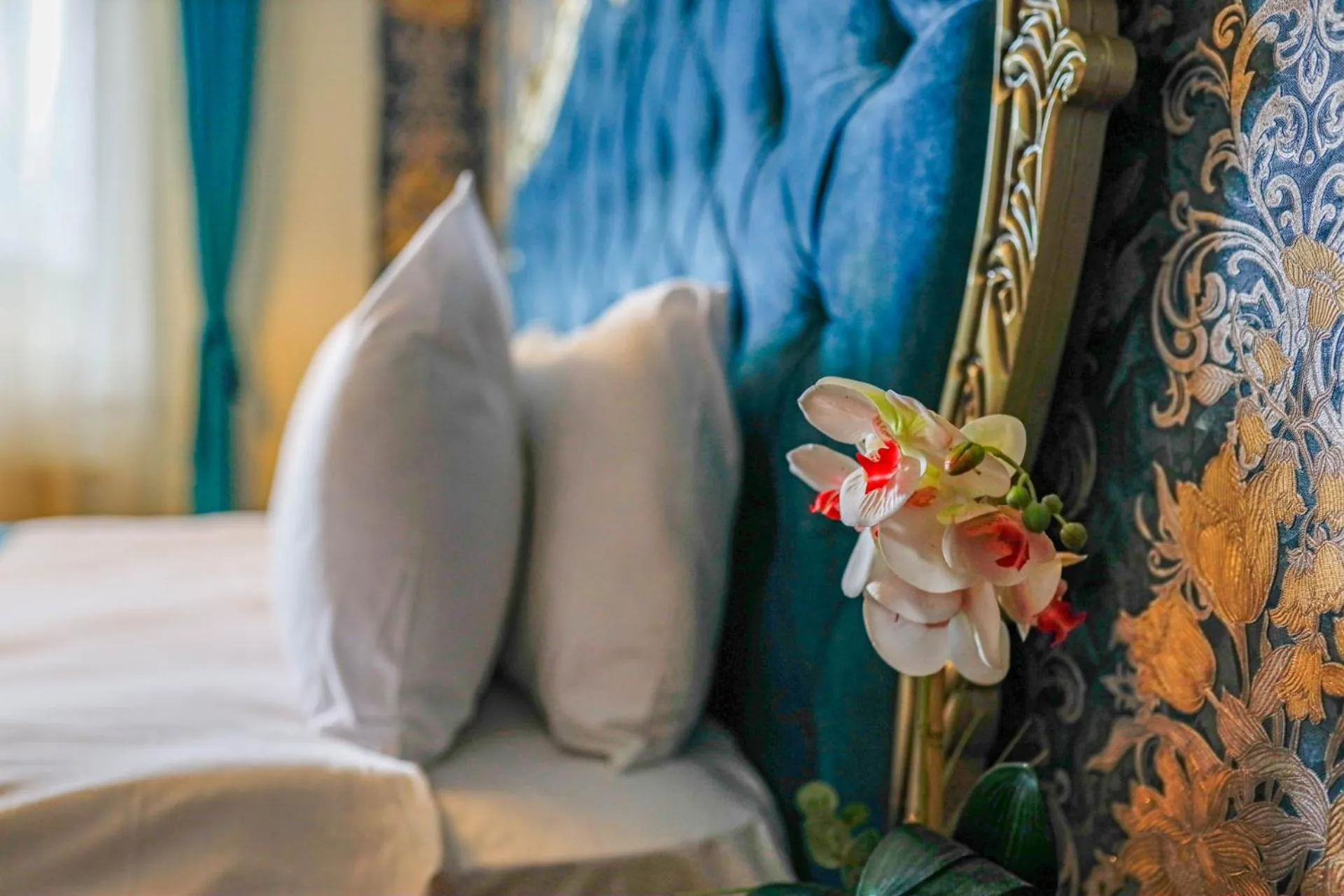 Family Suite in Green Moringa Termal Hotel