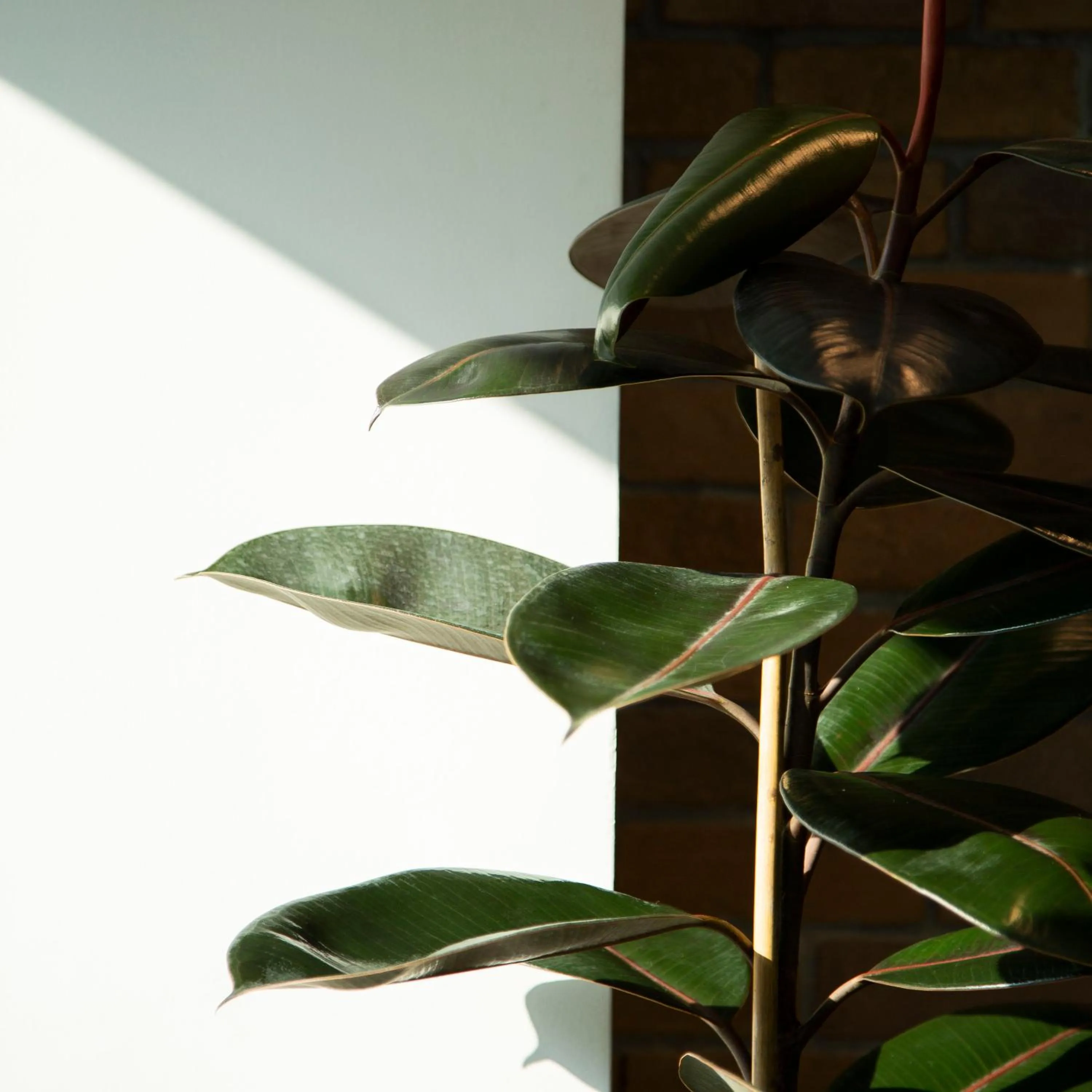 Lobby or reception in Parrish Serviced Apartment