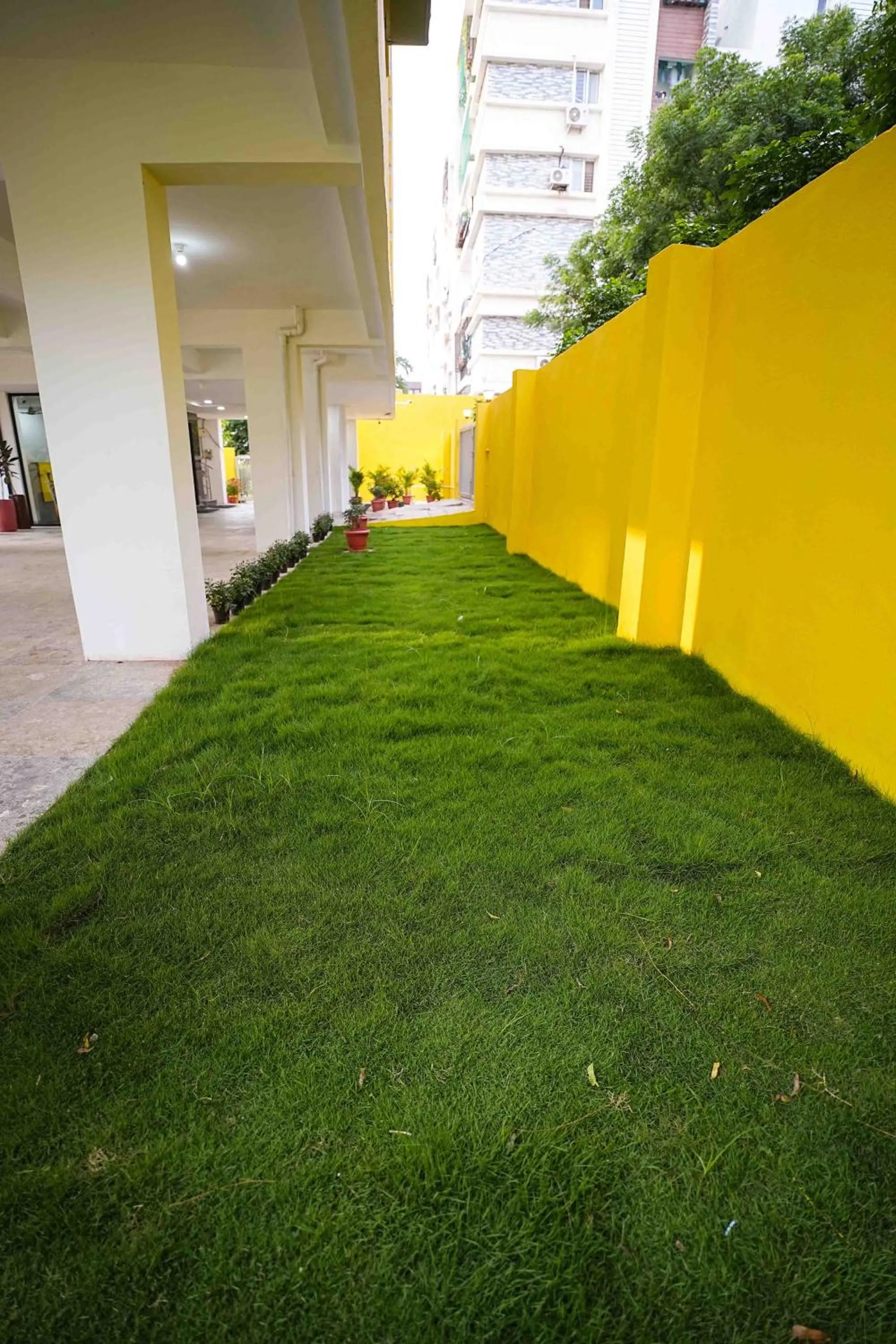 Garden in Yellow Bells Studios And Suites