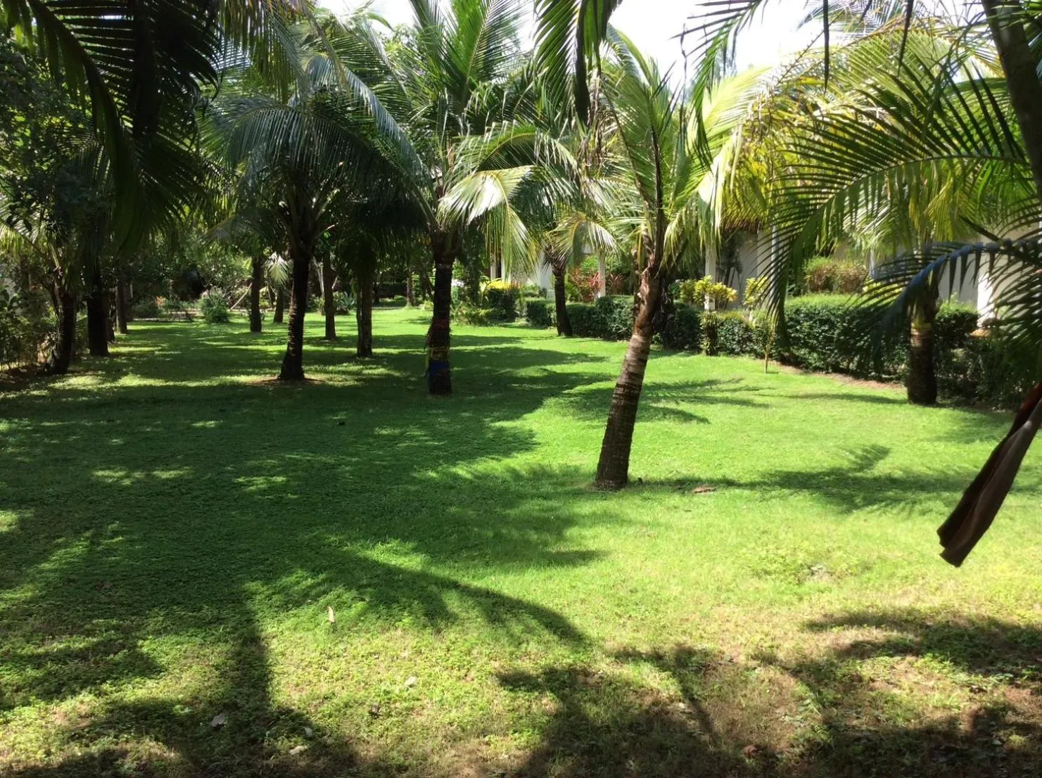 Garden in Cousin Resort
