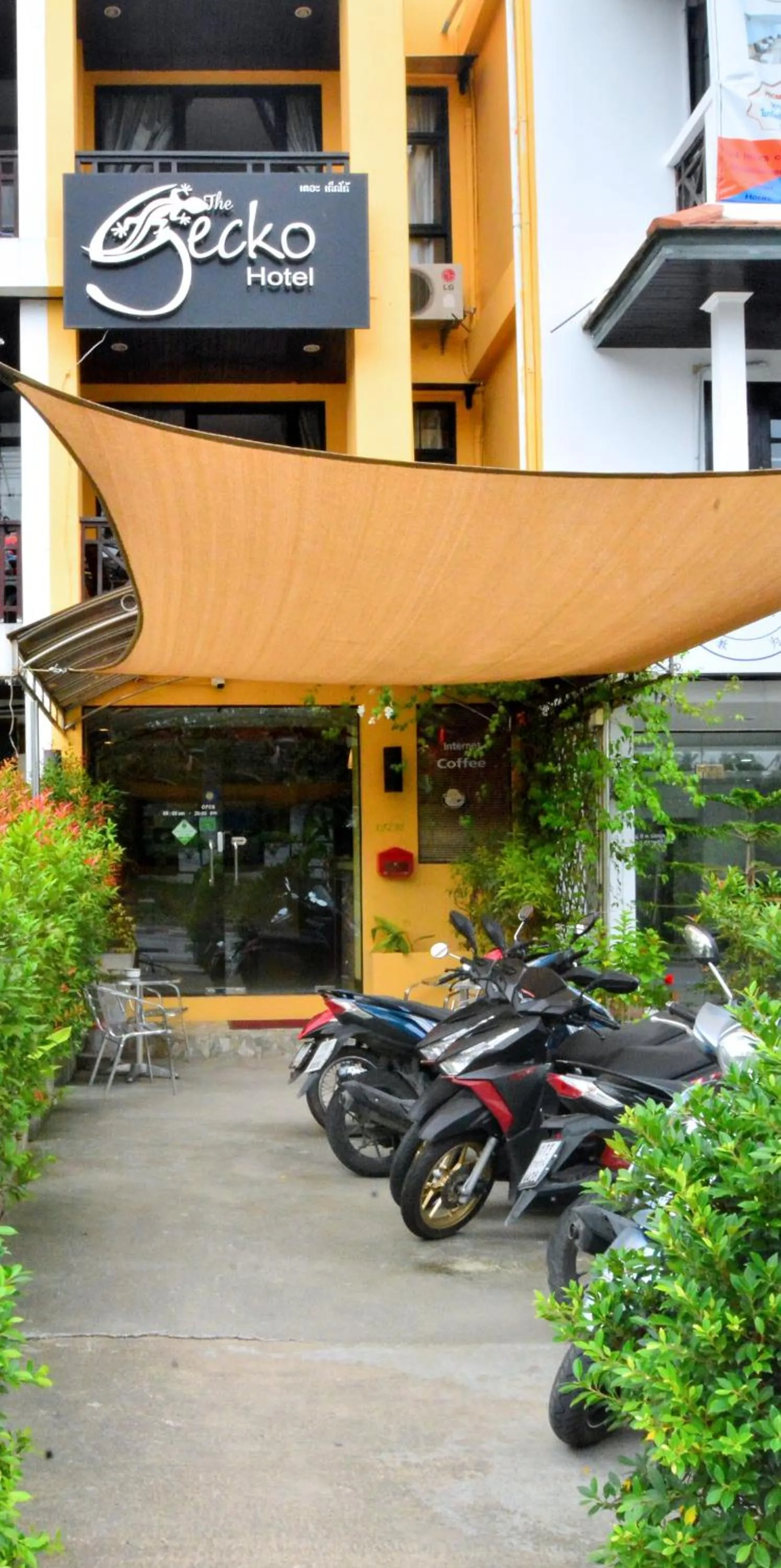 Property building in Gecko Hotel