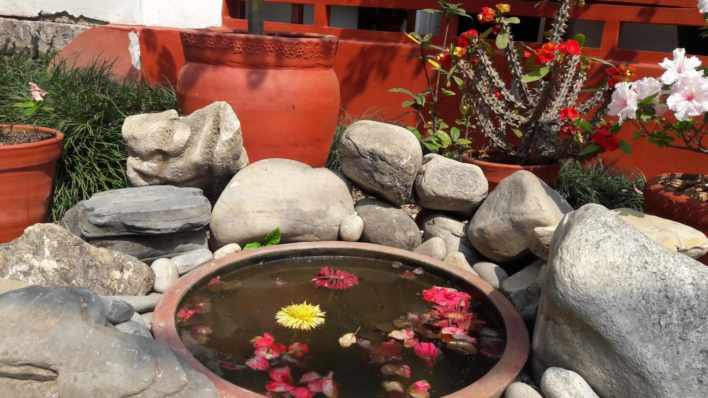 Garden view in Cocina Mitho Chha BNB