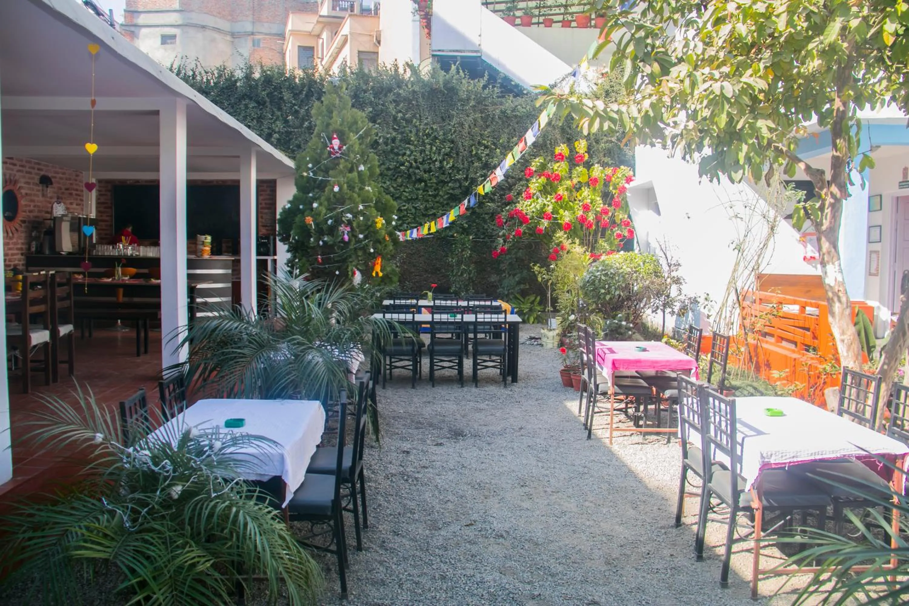 Restaurant/places to eat in Cocina Mitho Chha BNB