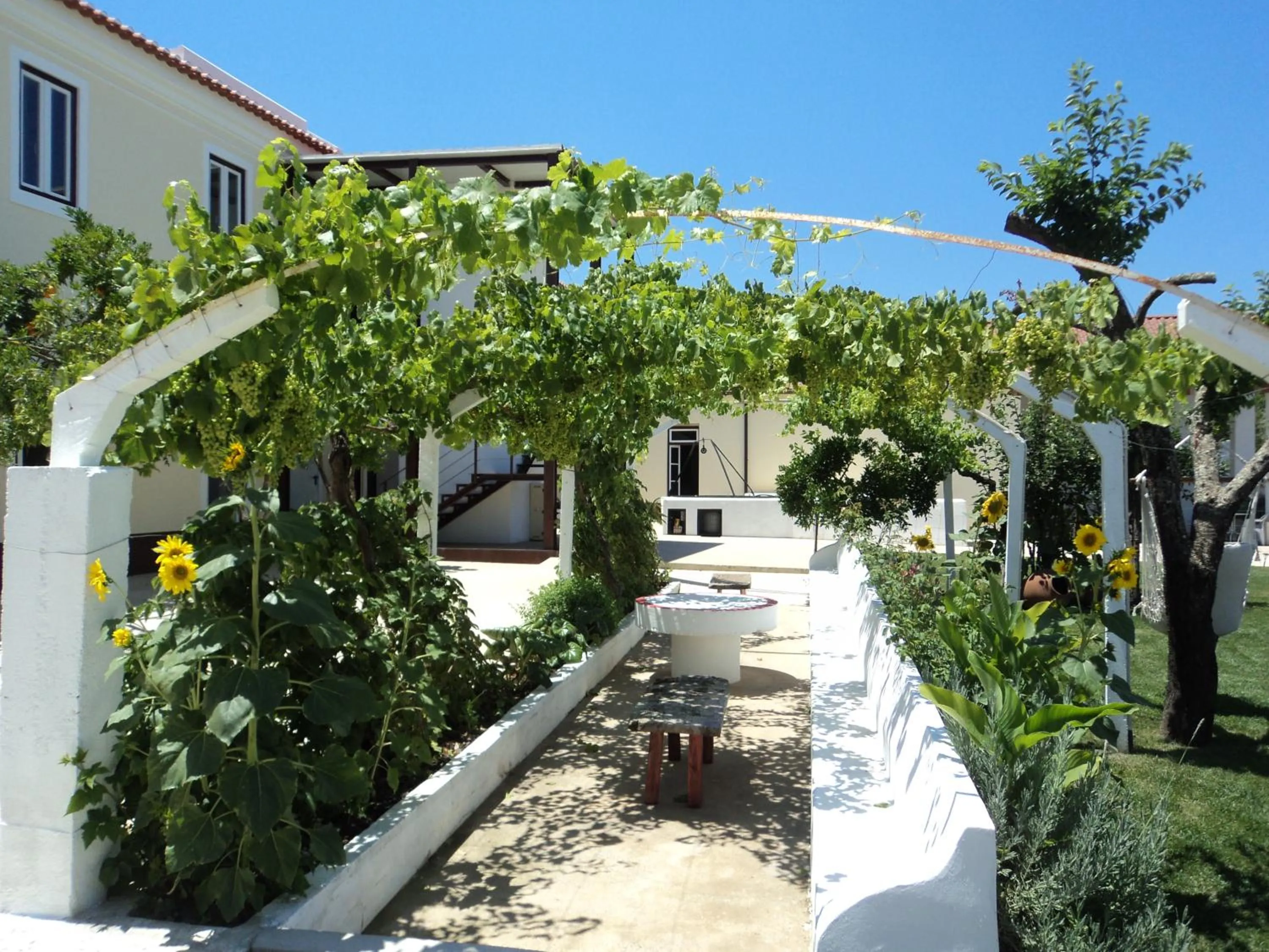 Spring in Casas da Moagem