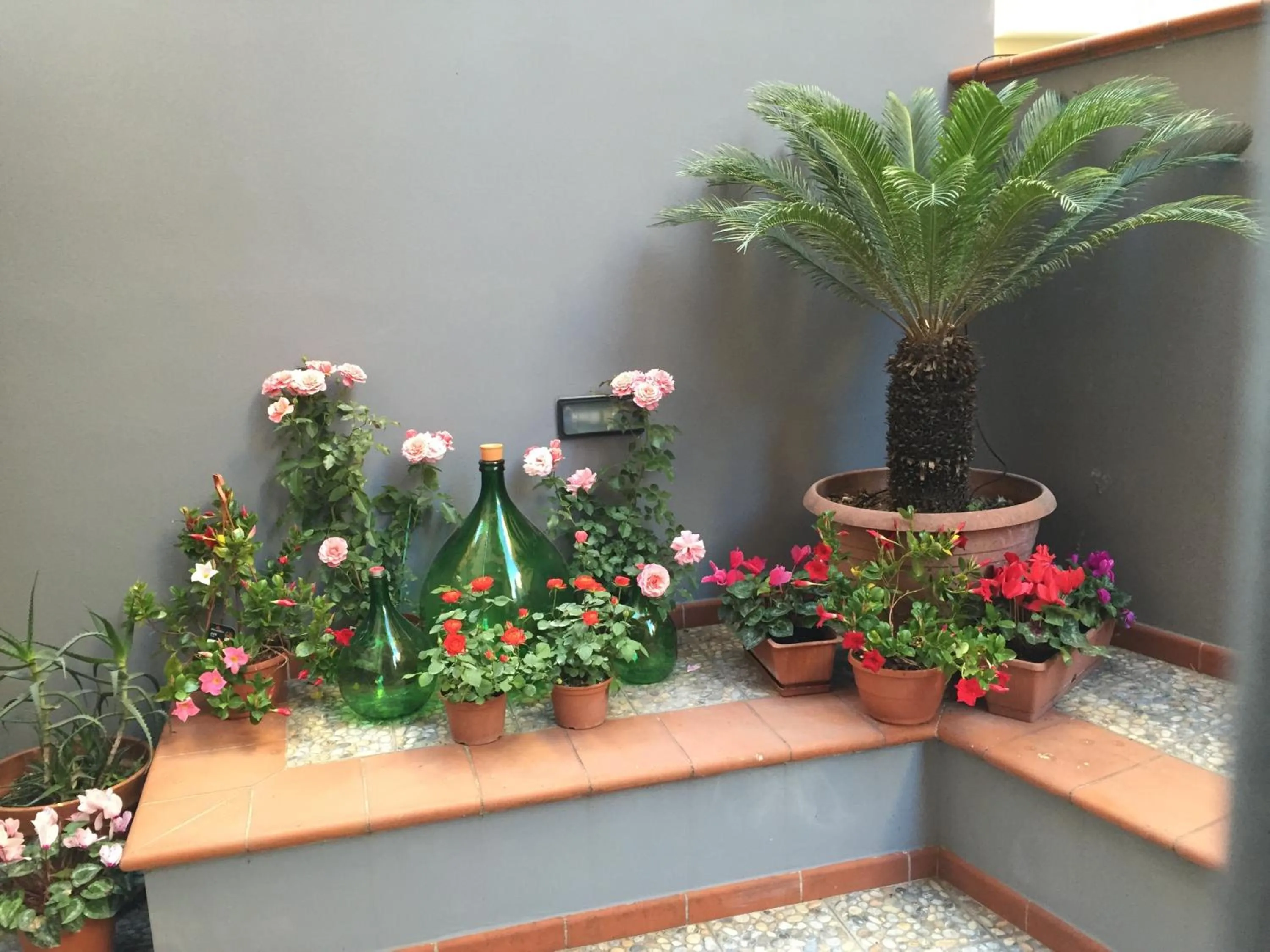 Garden view in B&B Civico Cinque