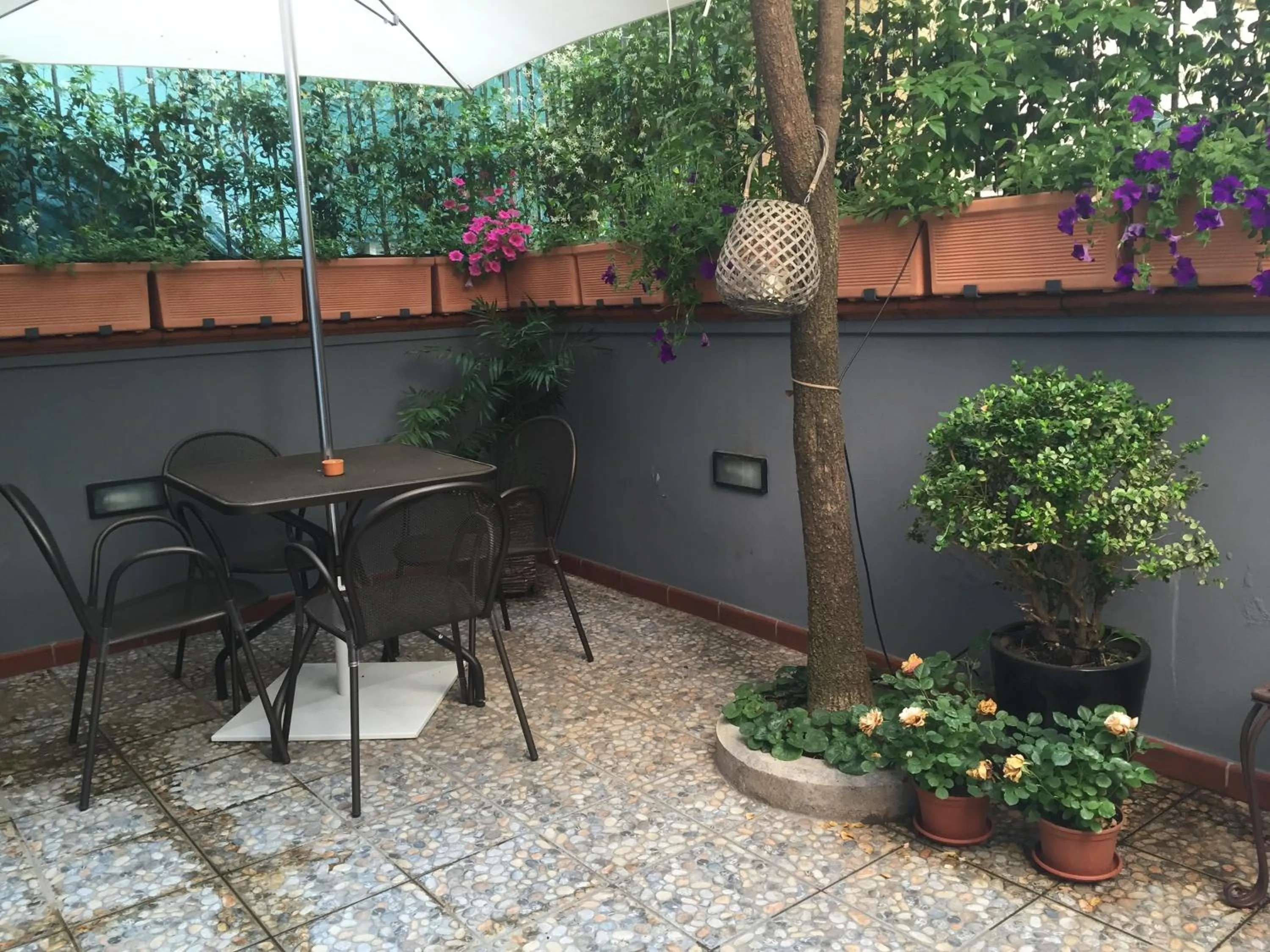 Garden view in B&B Civico Cinque