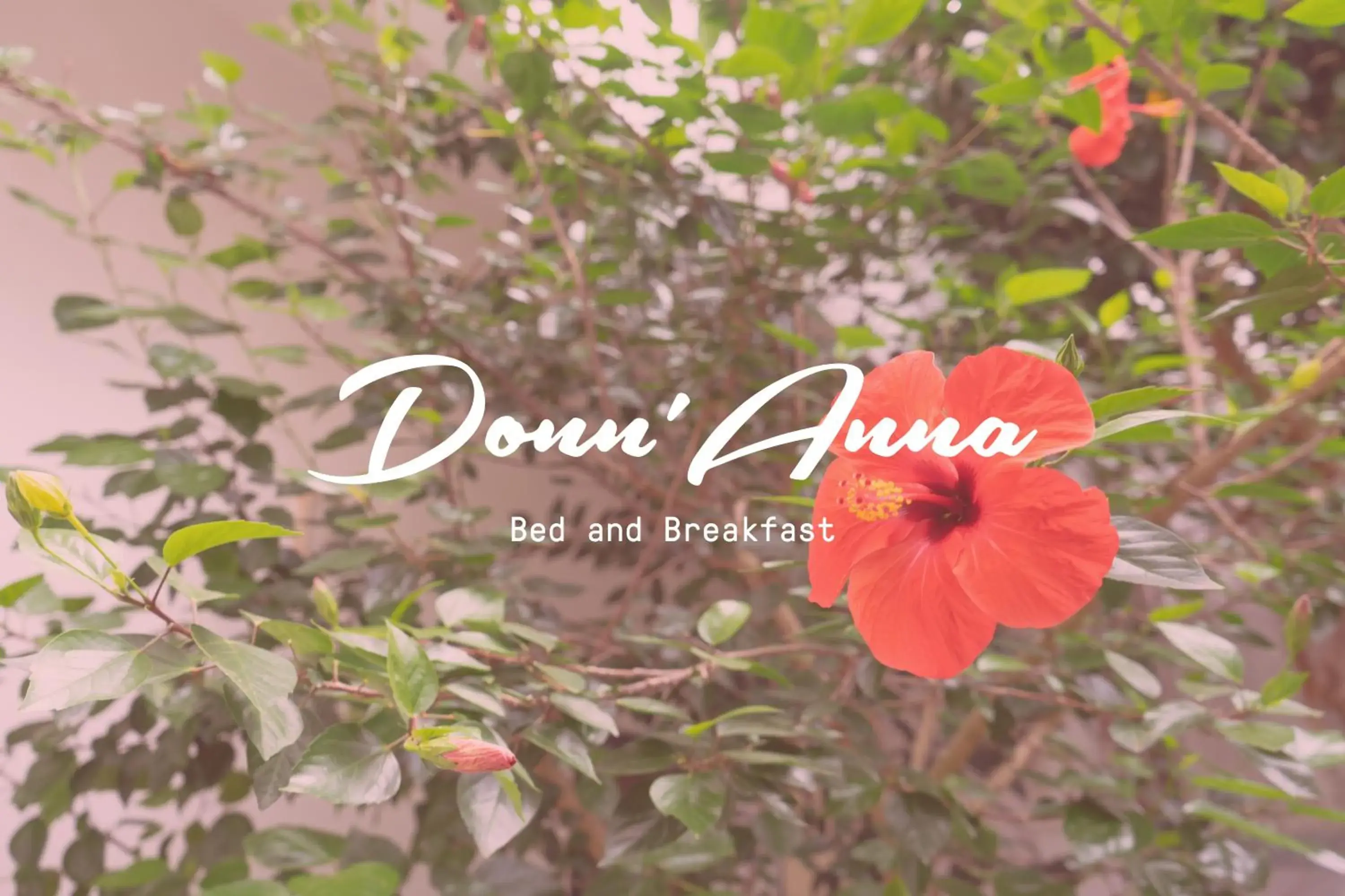 Donn'Anna B&B Donn'Anna B&B