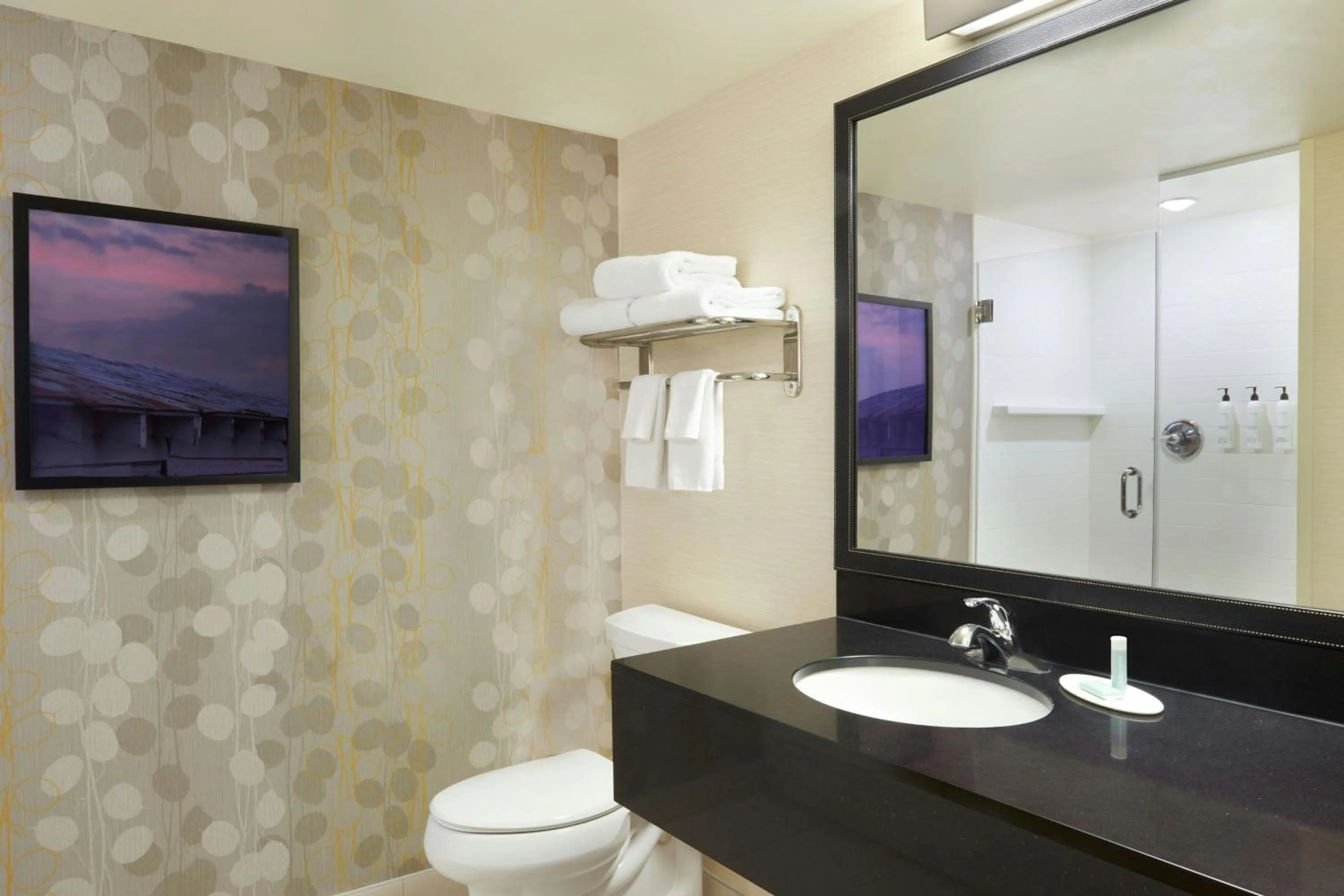 Bathroom in Fairfield Inn & Suites by Marriott Calgary Downtown