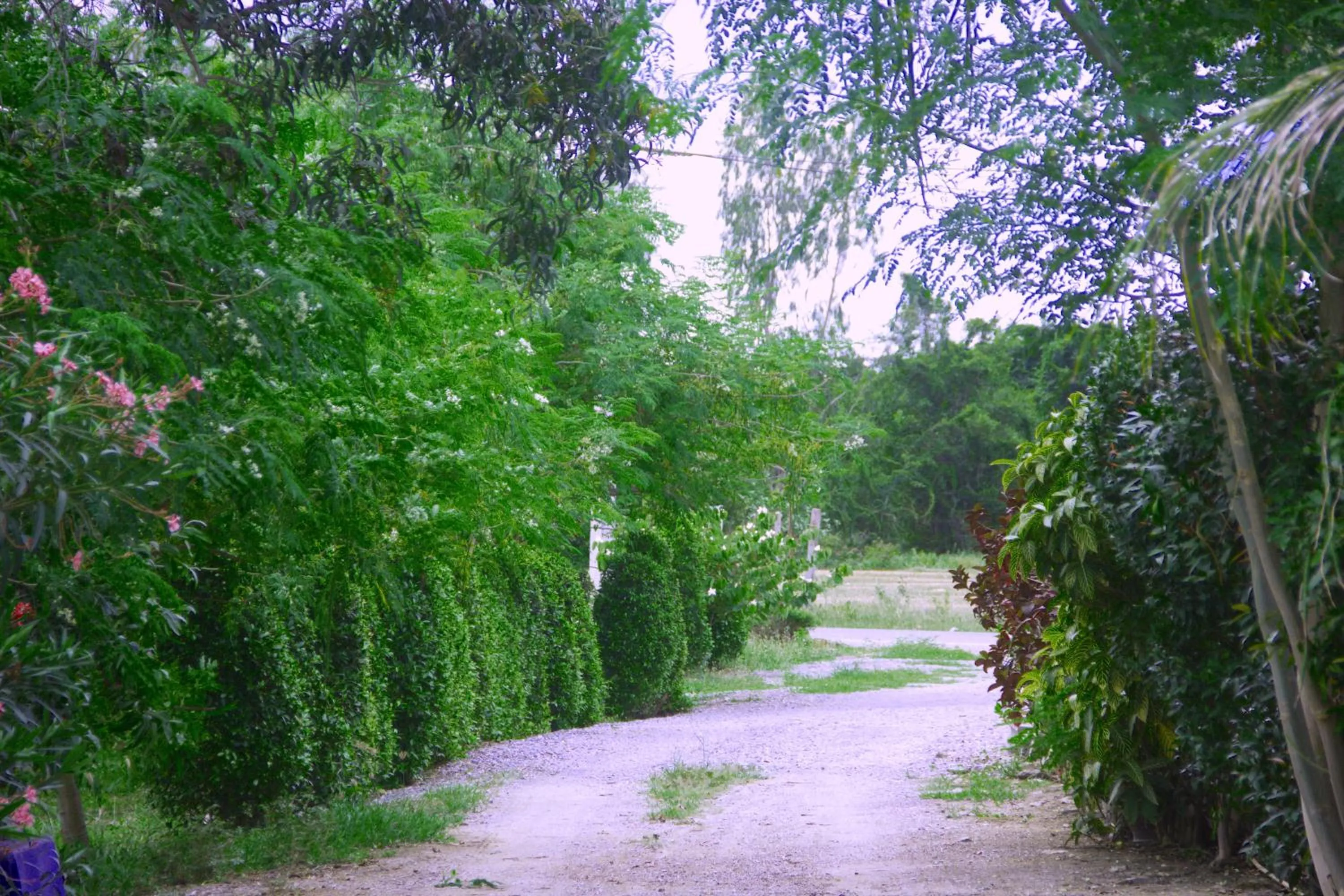 Neighbourhood in KP Mountain Beach
