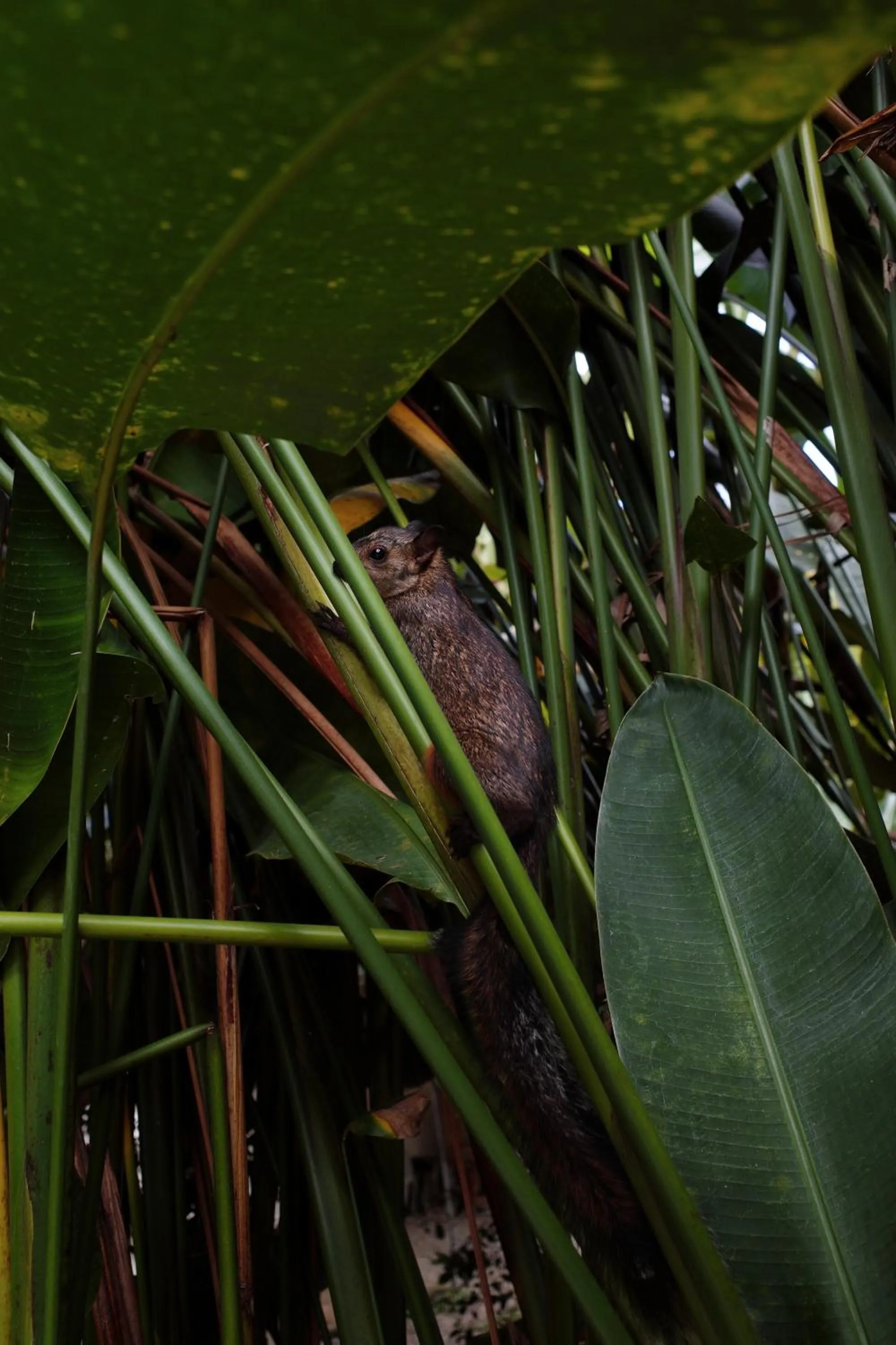 Day in Conga Boutique Hotel