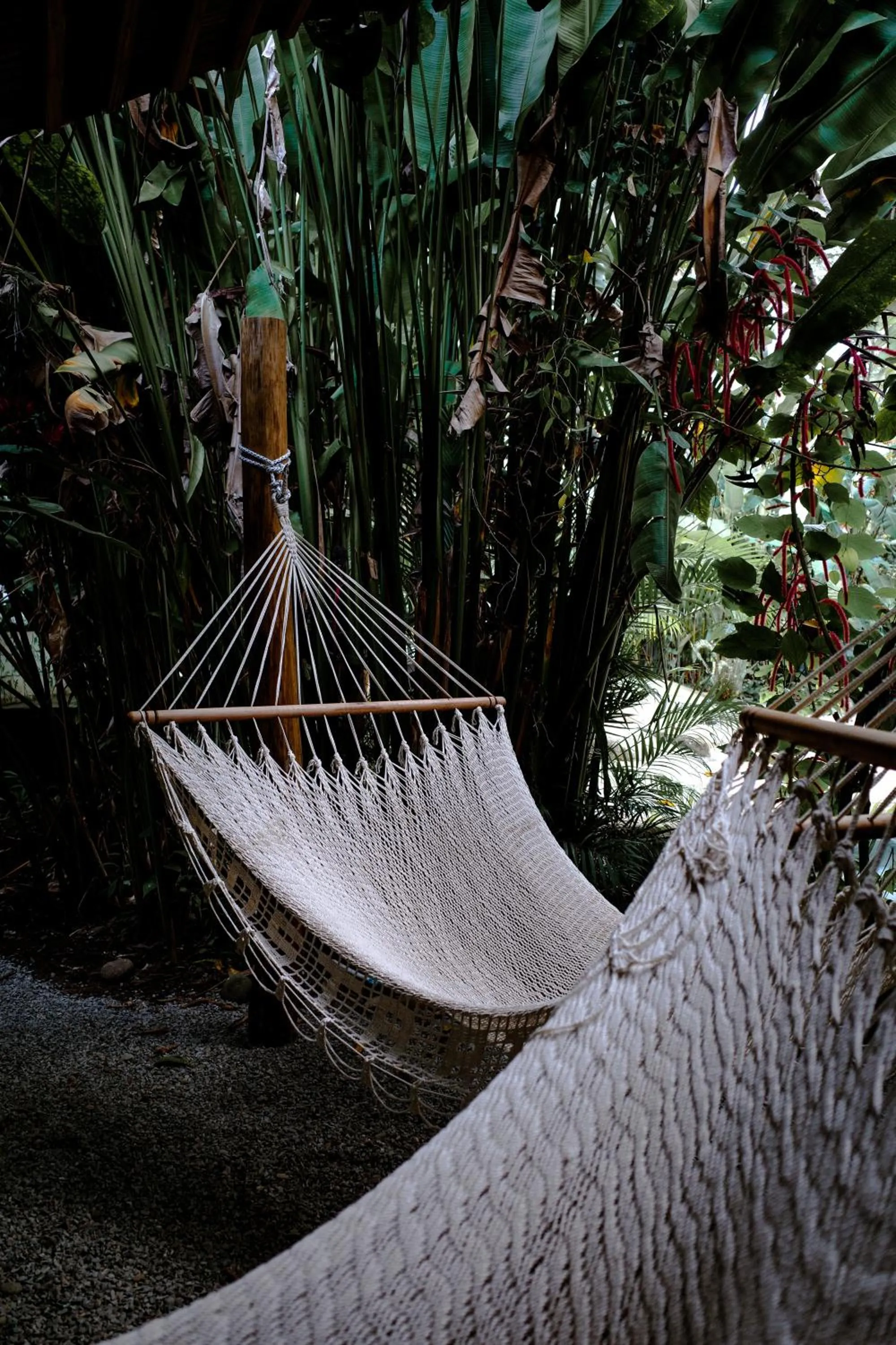 Natural landscape in Conga Boutique Hotel