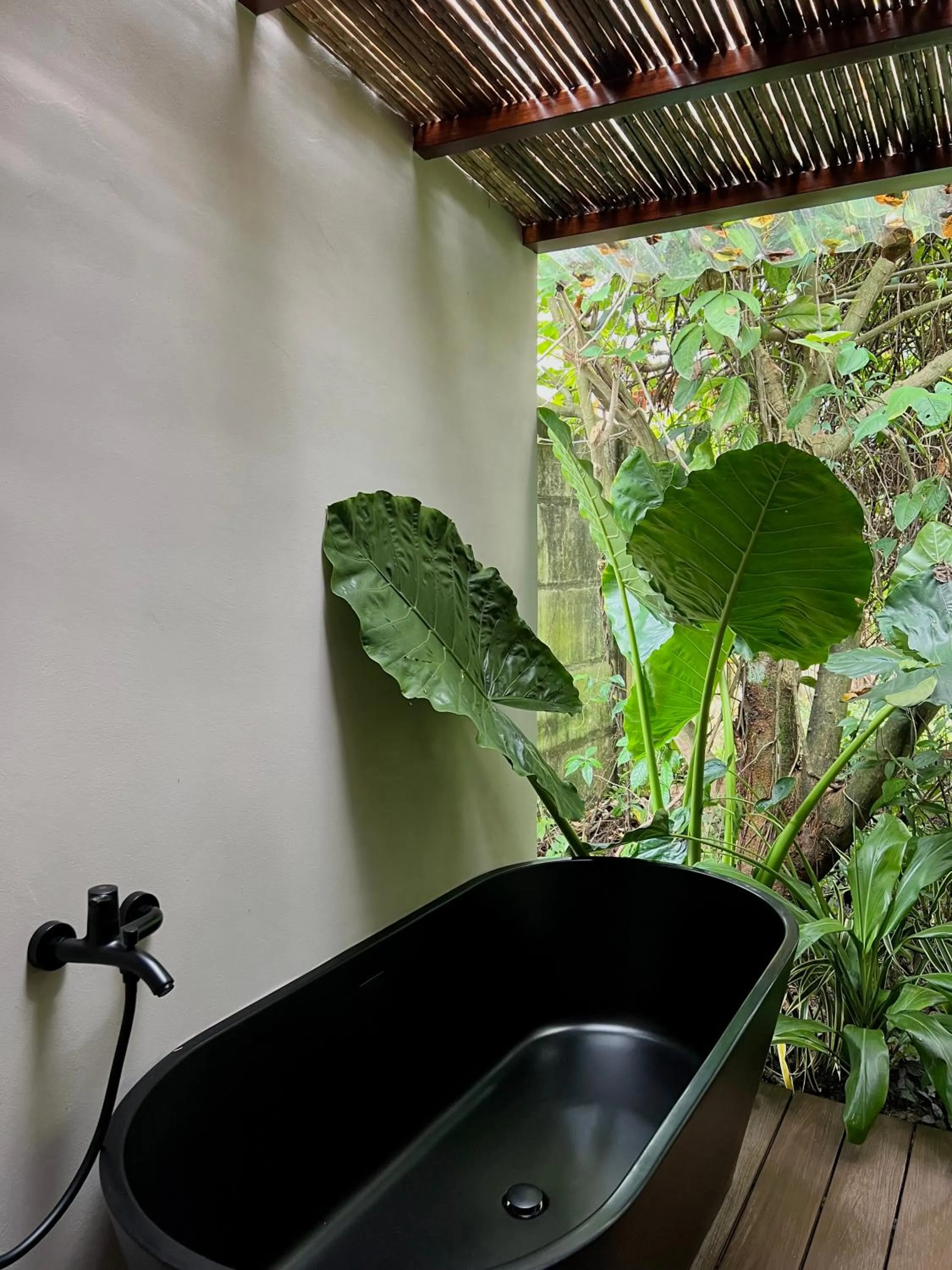 Natural landscape in Conga Boutique Hotel