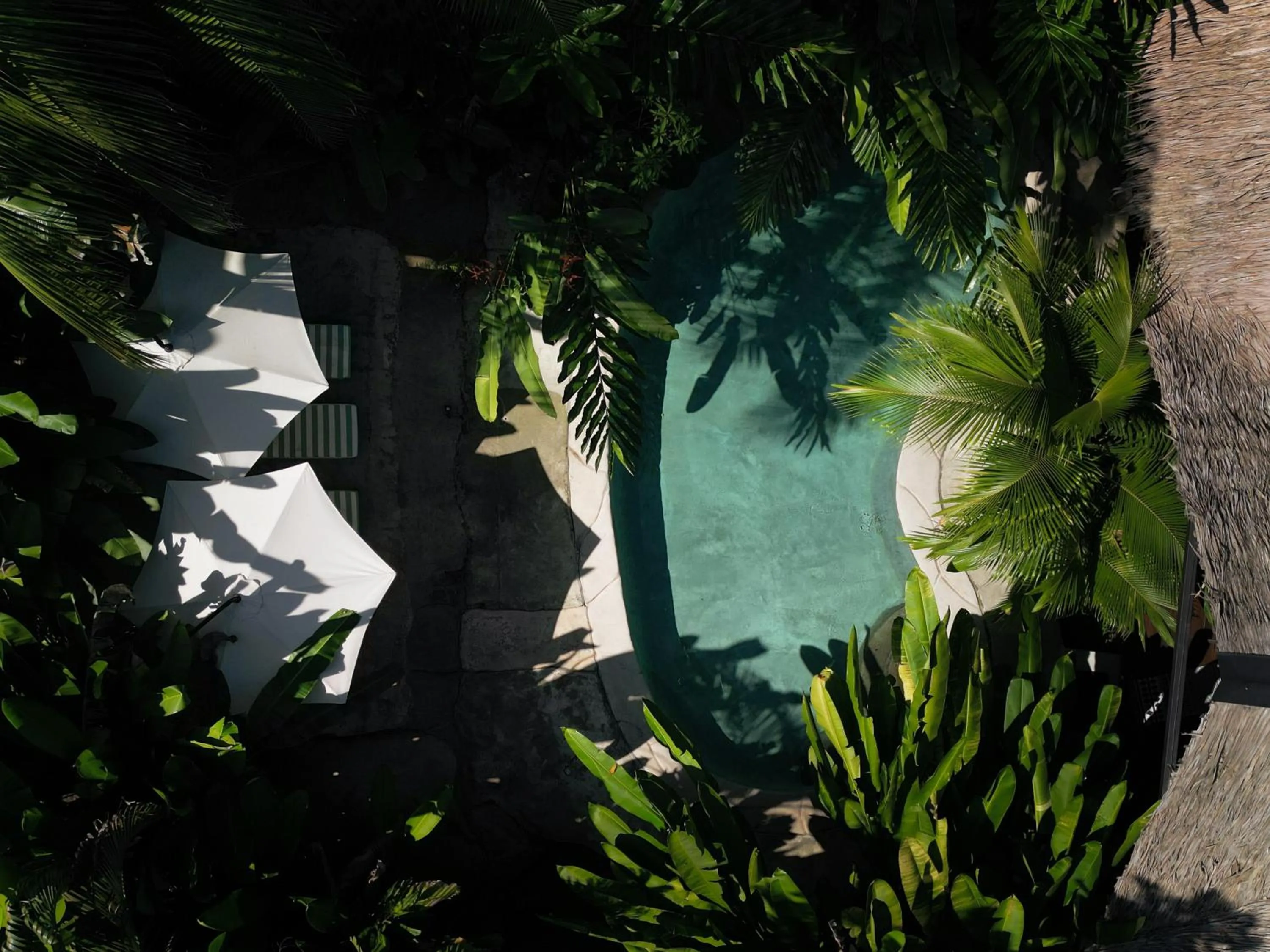 Natural landscape in Conga Boutique Hotel