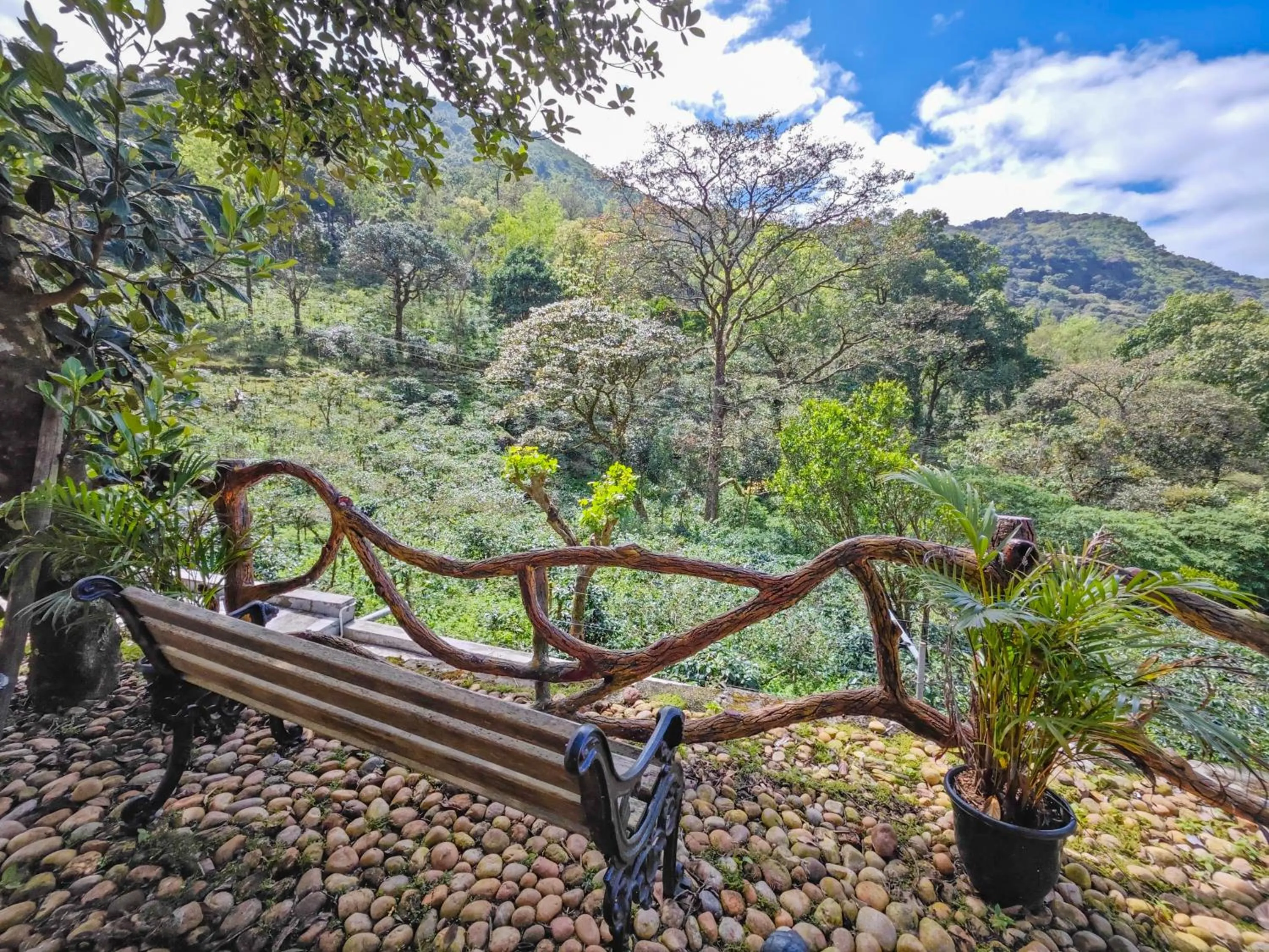 Mountain view in Ibex Resorts, Valparai Mistly