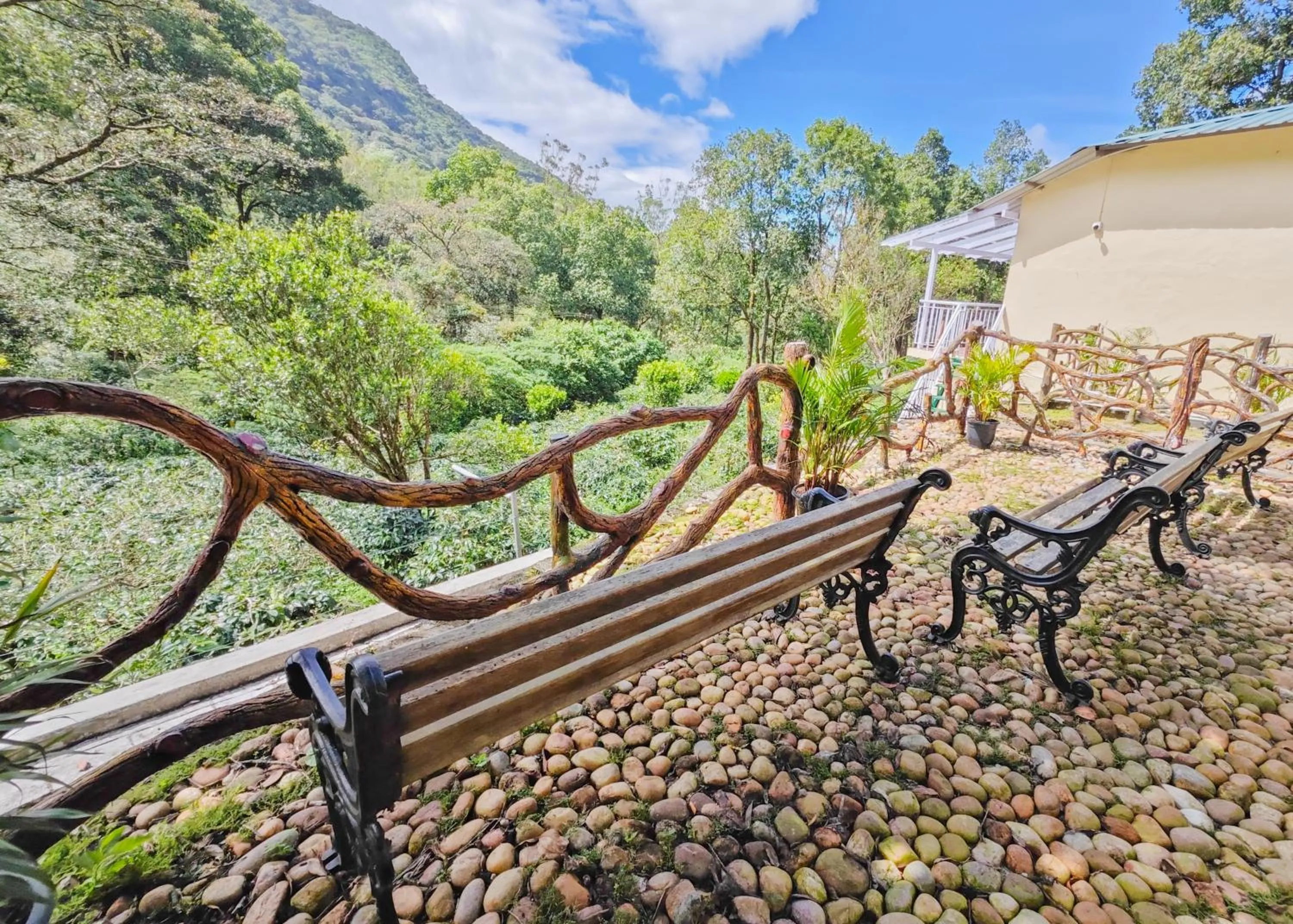 Natural landscape in Ibex Resorts, Valparai Mistly
