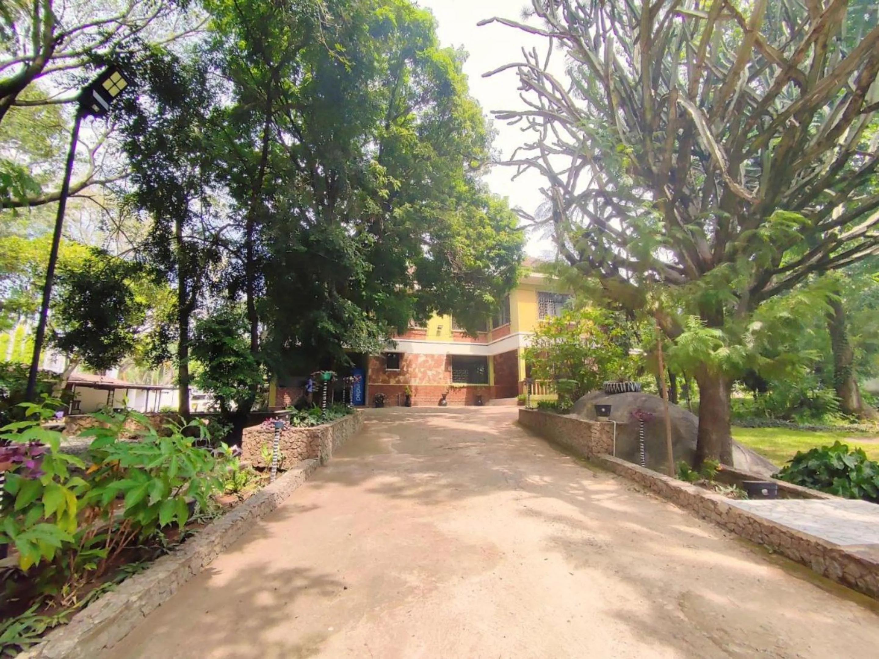 Day in Olivia Guesthouse