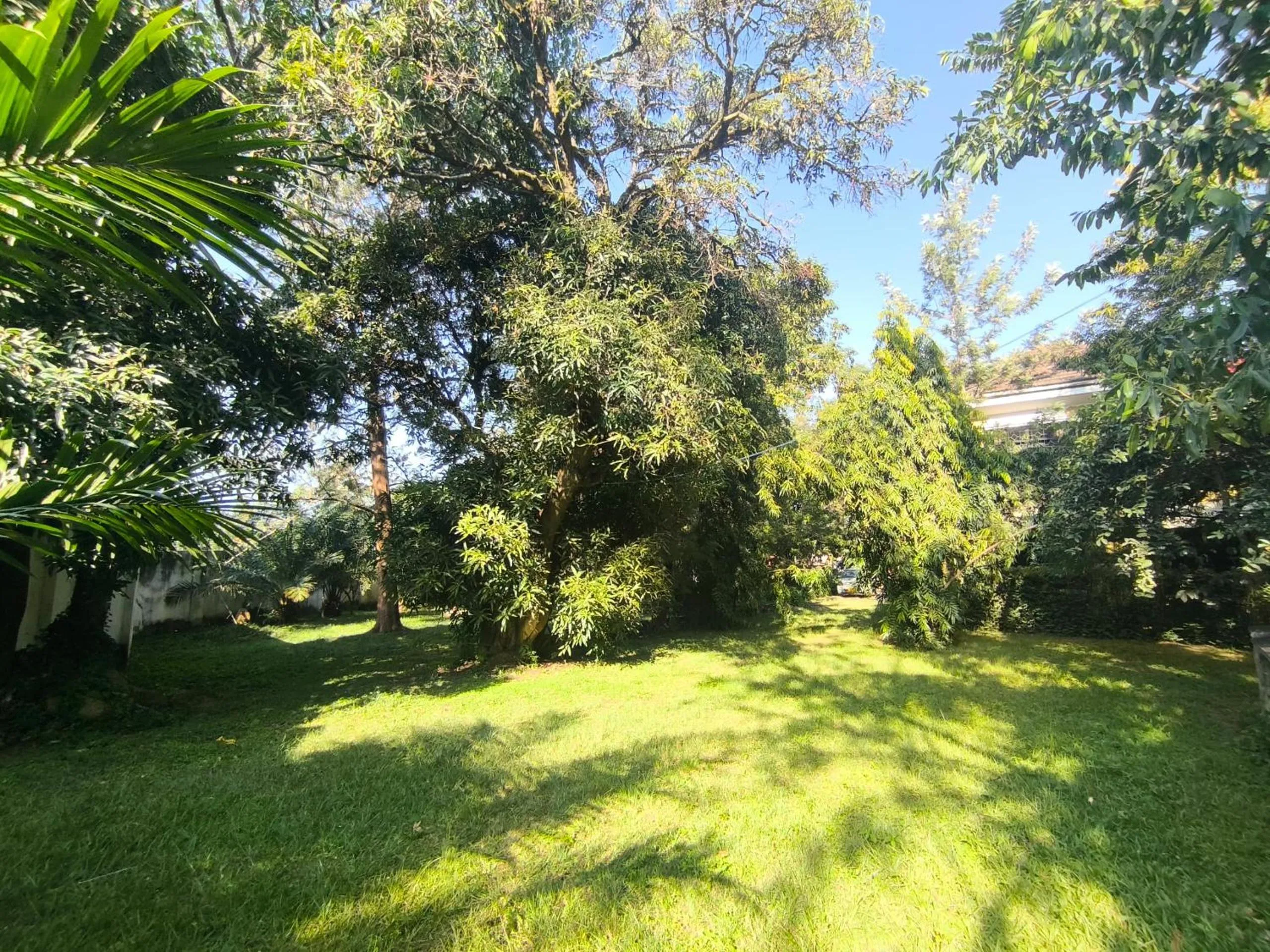 Natural landscape in Olivia Guesthouse