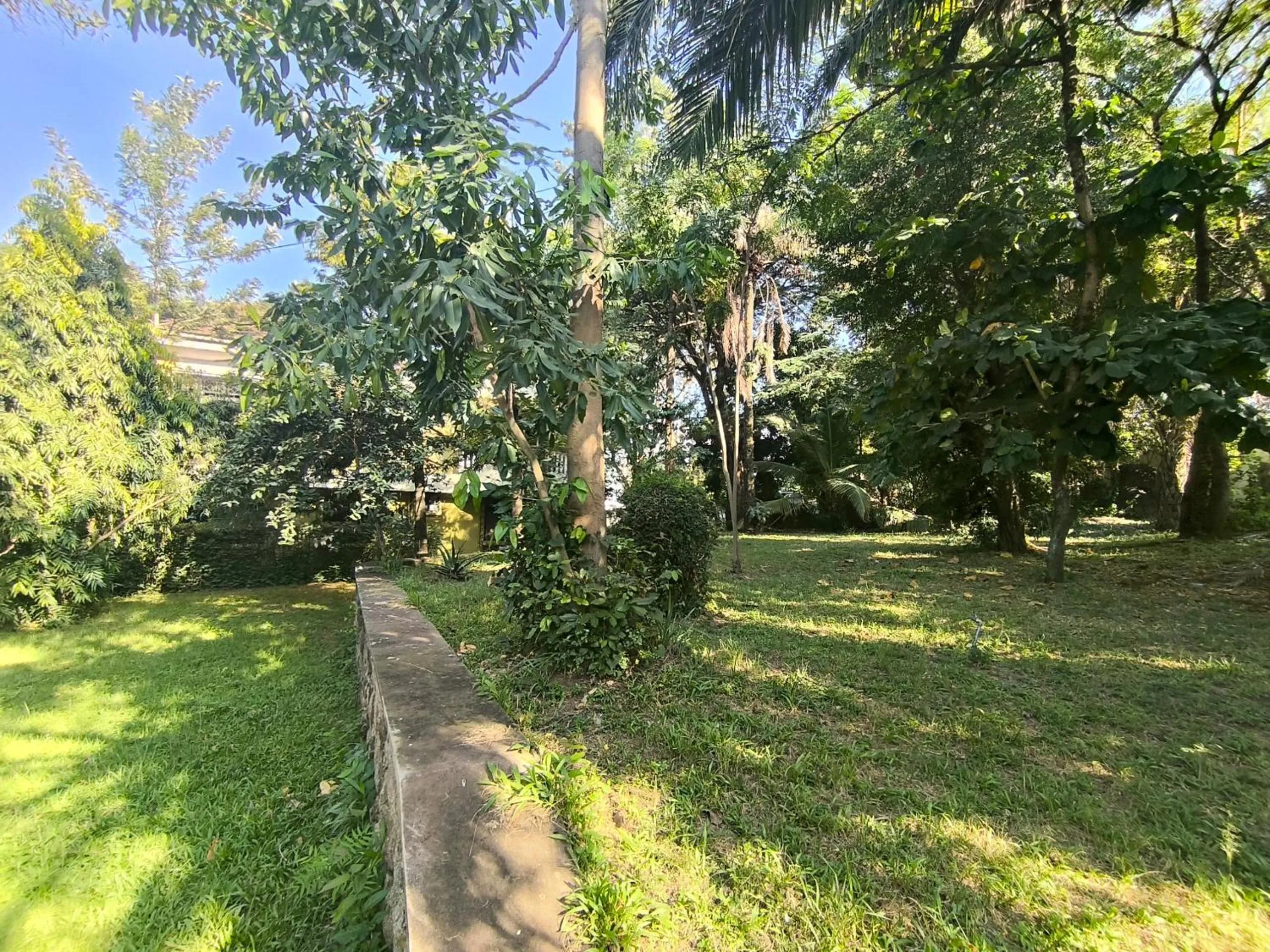 Garden view in Olivia Guesthouse