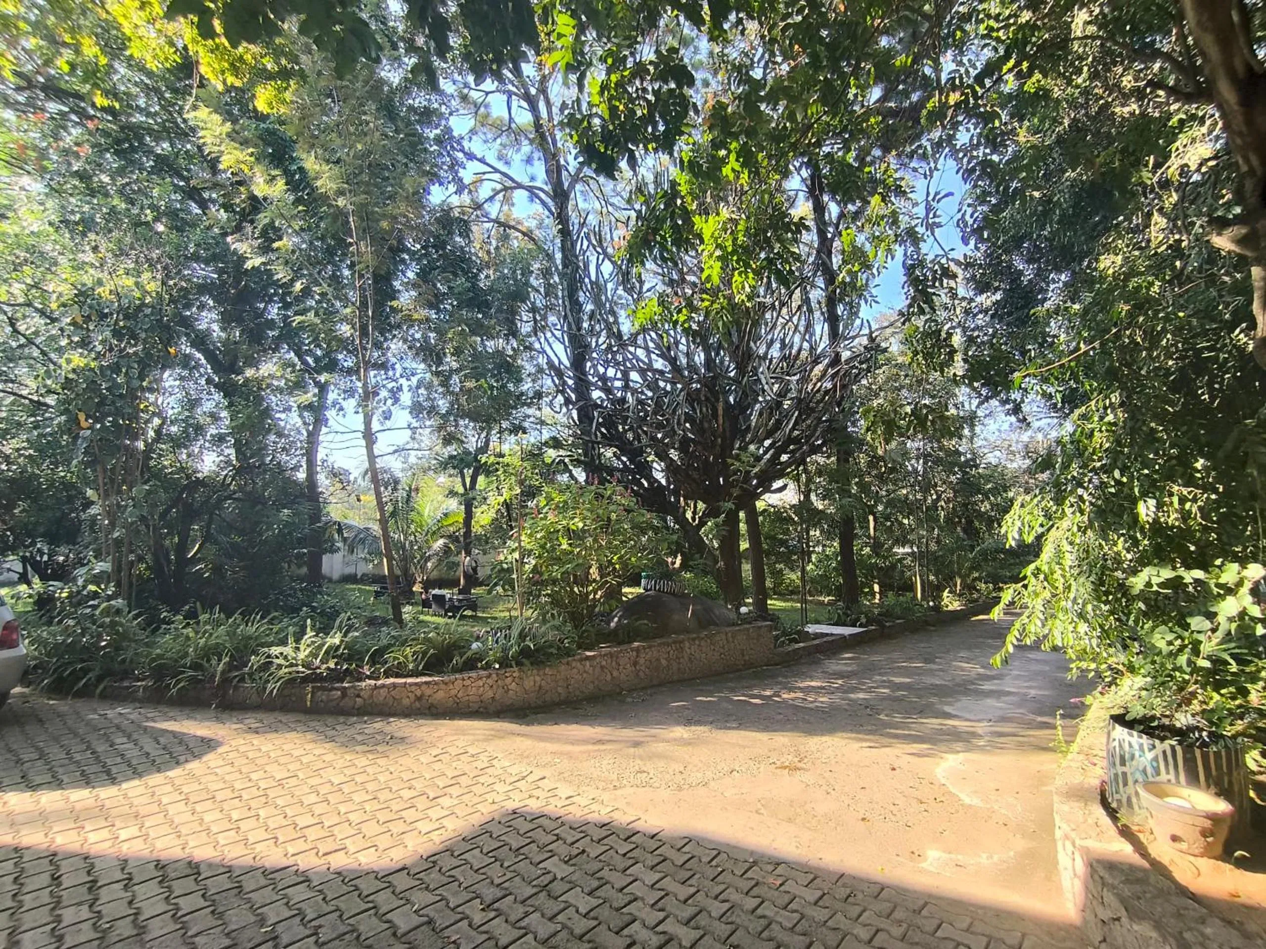 Garden in Olivia Guesthouse