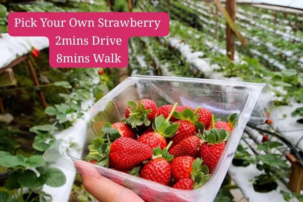 Nearby landmark in Keafarm Highland Breeze