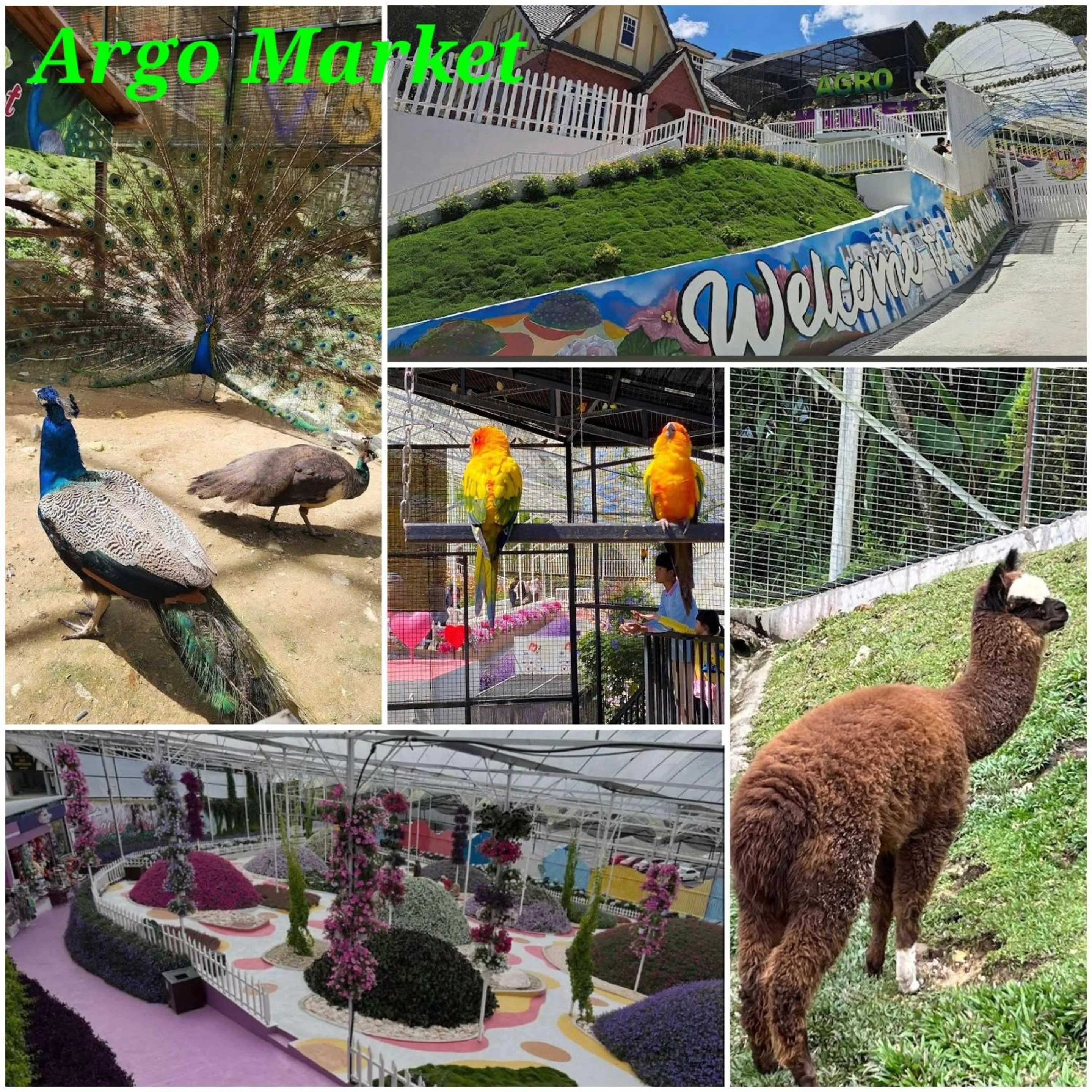 Nearby landmark in Keafarm Highland Breeze