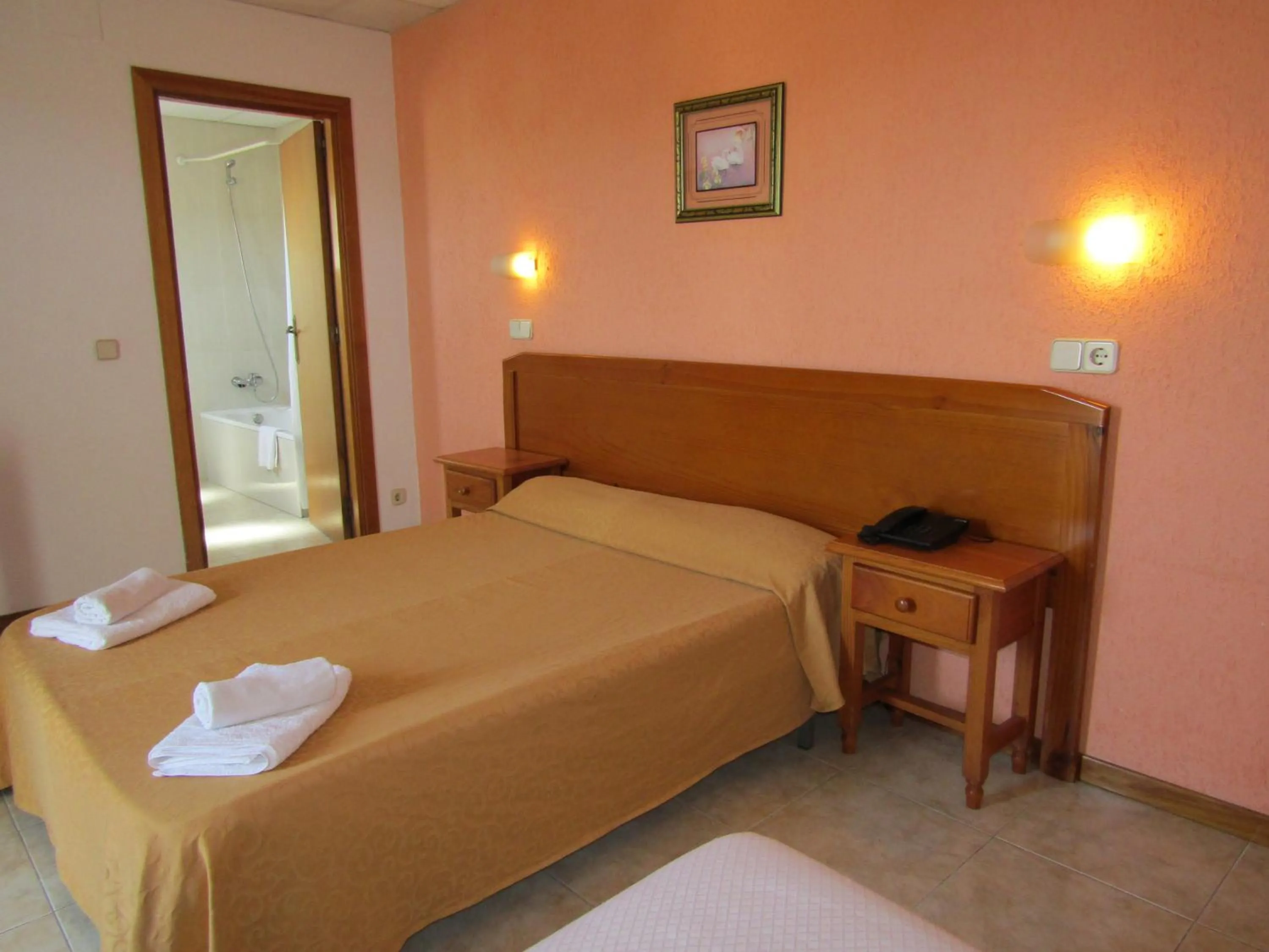 Double Room in Vintage Hotel Mercedes