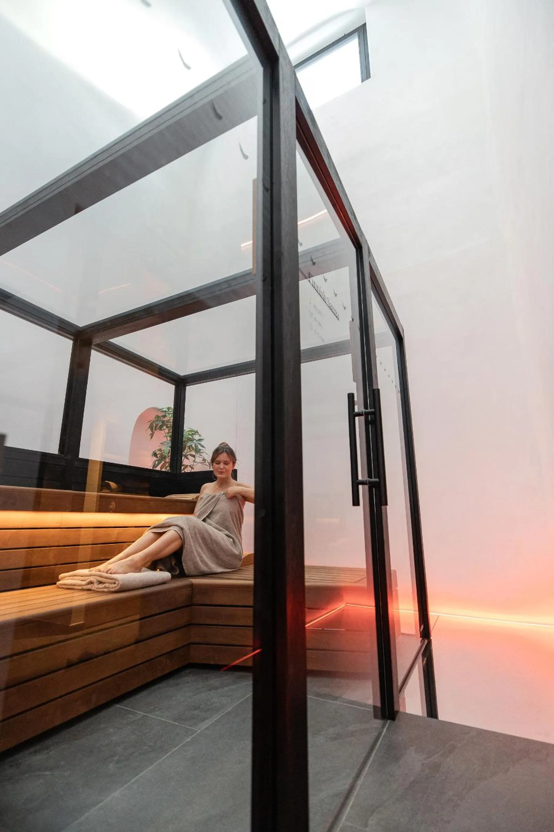 Sauna, Bed in Schwarzer Adler - Concept Living