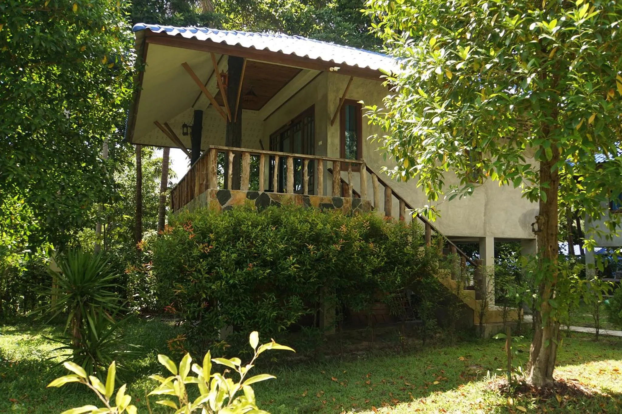 Wonderland Healing Center