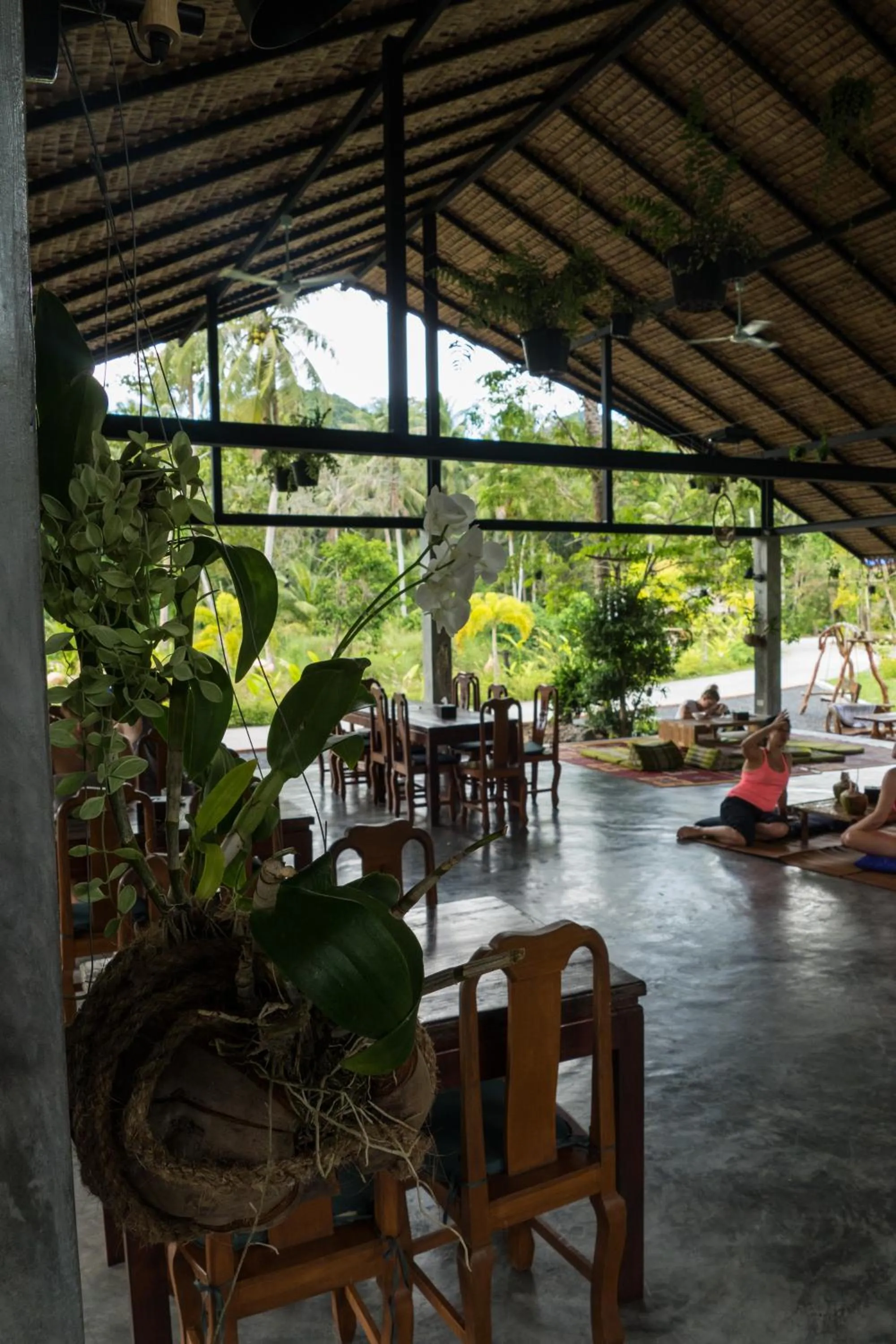 Restaurant/places to eat in Wonderland Healing Center