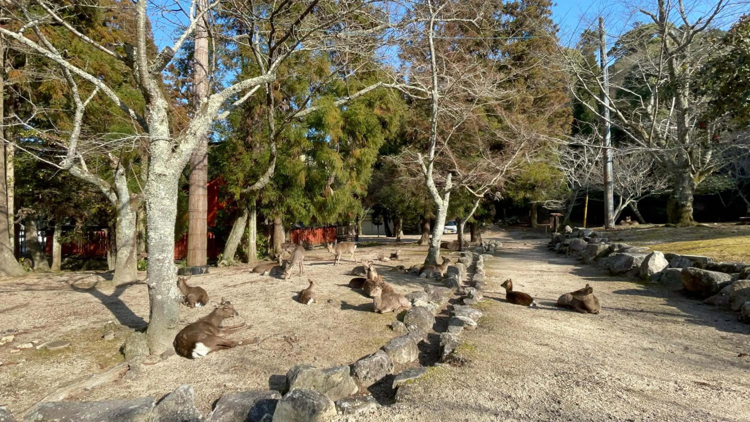 Day in Miyajima Morinoyado