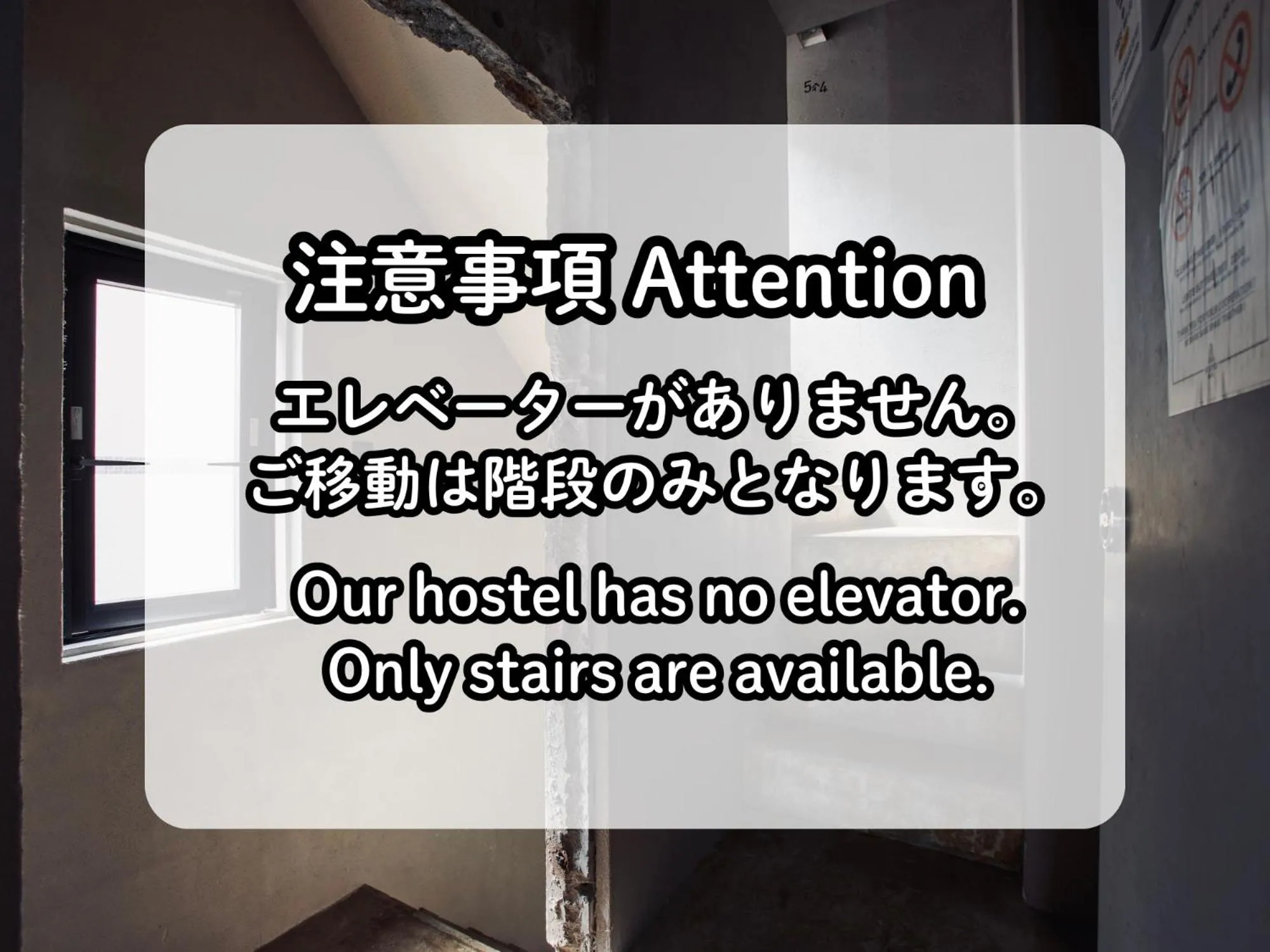 Text overlay in Untapped Hostel