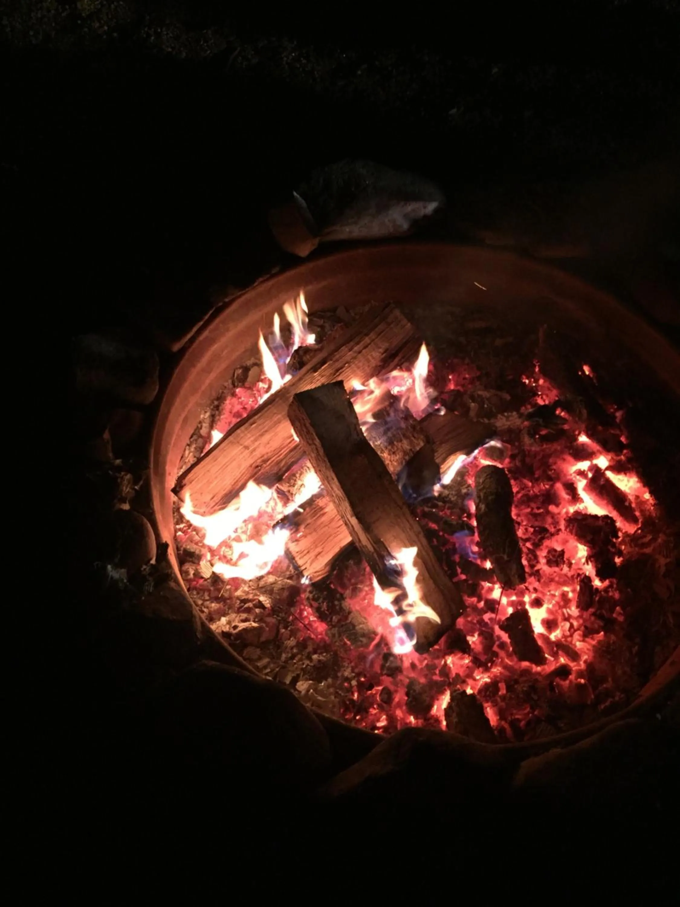 Area and facilities in Adams Inn and Suites